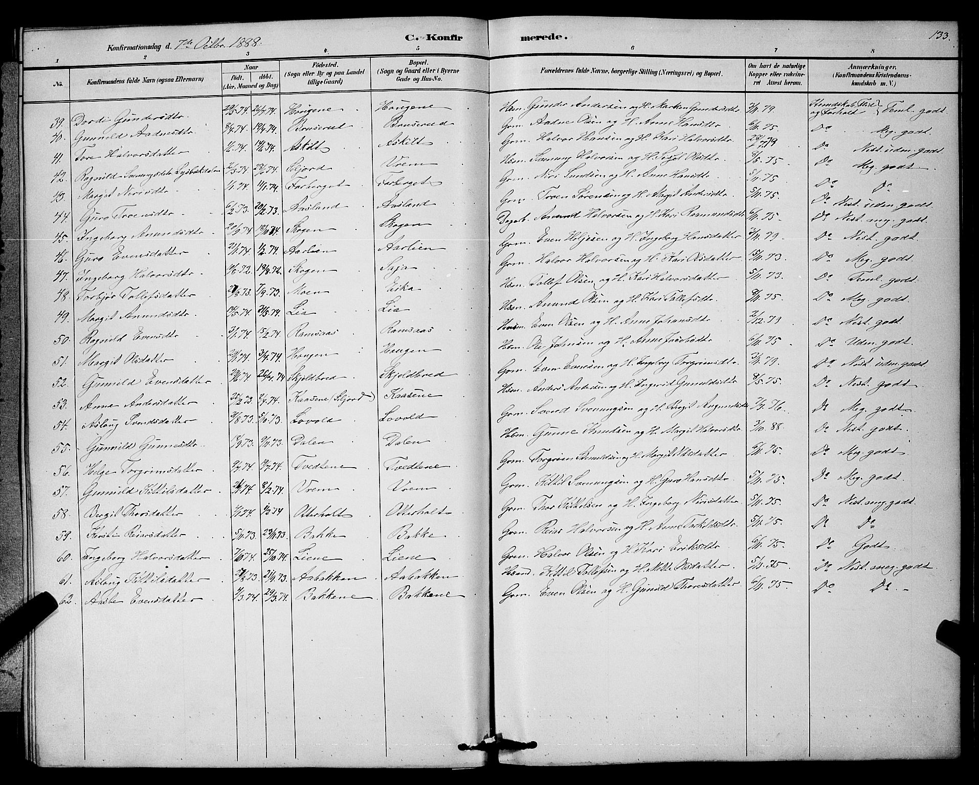Bø kirkebøker, SAKO/A-257/G/Ga/L0005: Parish register (copy) no. 5, 1883-1897, p. 133