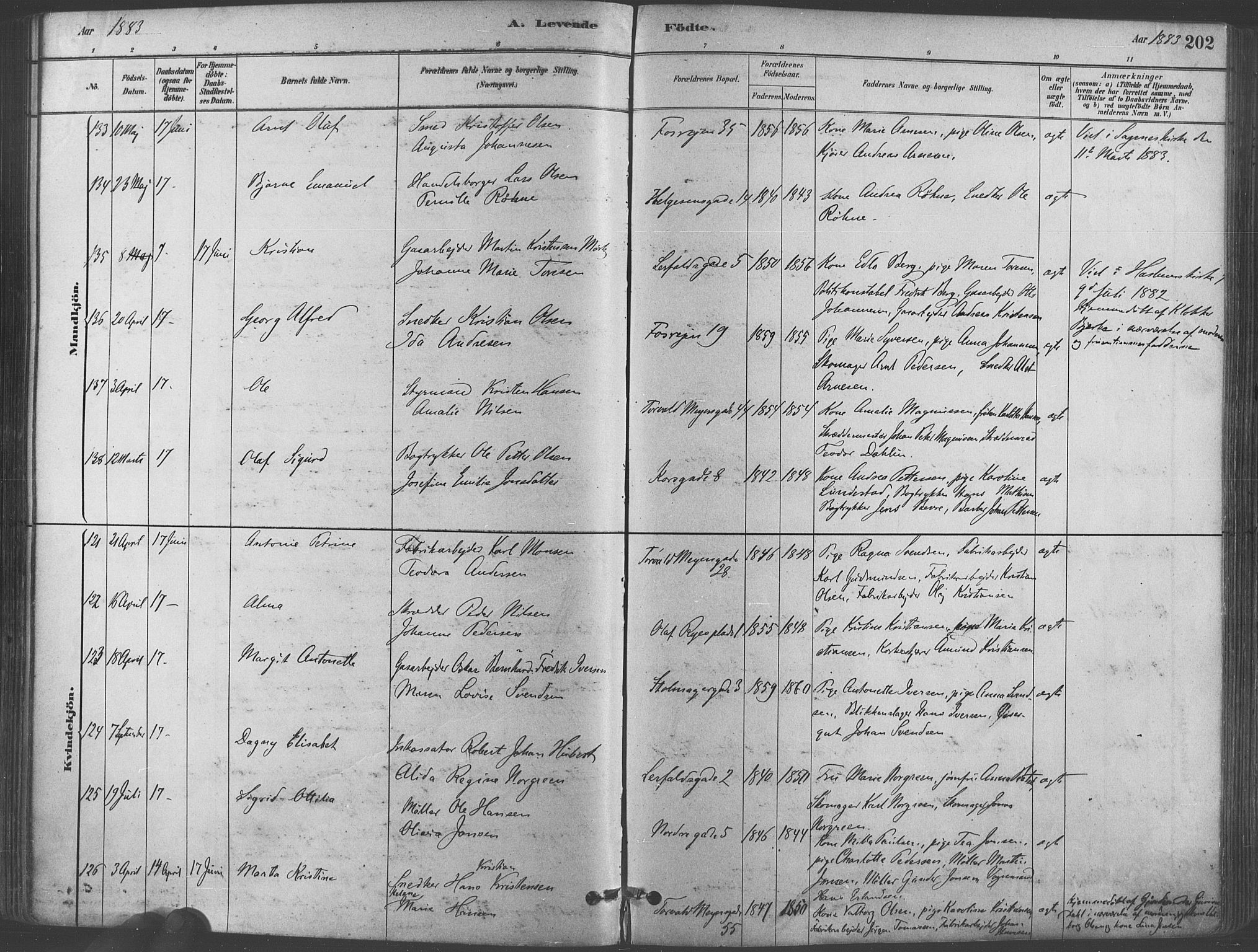 Paulus prestekontor Kirkebøker, AV/SAO-A-10871/F/Fa/L0003: Parish register (official) no. 3, 1879-1887, p. 202