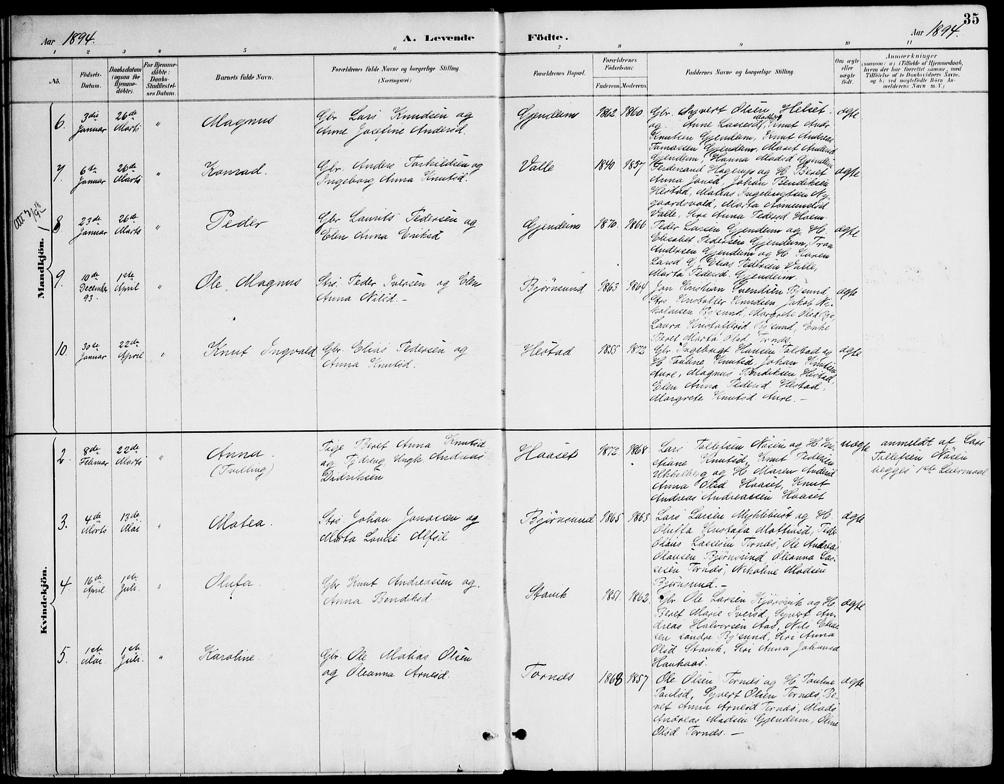 Ministerialprotokoller, klokkerbøker og fødselsregistre - Møre og Romsdal, AV/SAT-A-1454/565/L0750: Parish register (official) no. 565A04, 1887-1905, p. 35