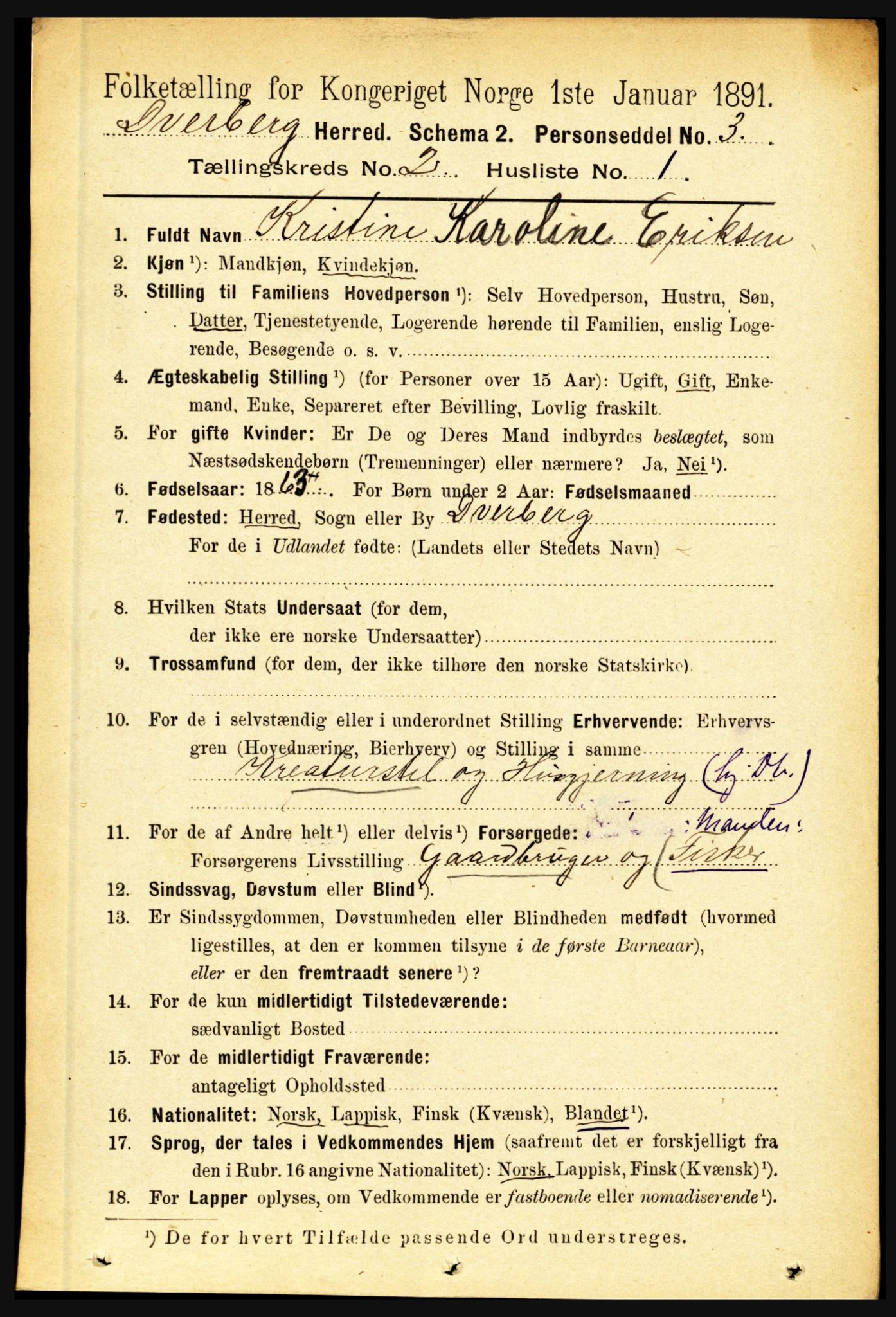 RA, 1891 census for 1872 Dverberg, 1891, p. 628