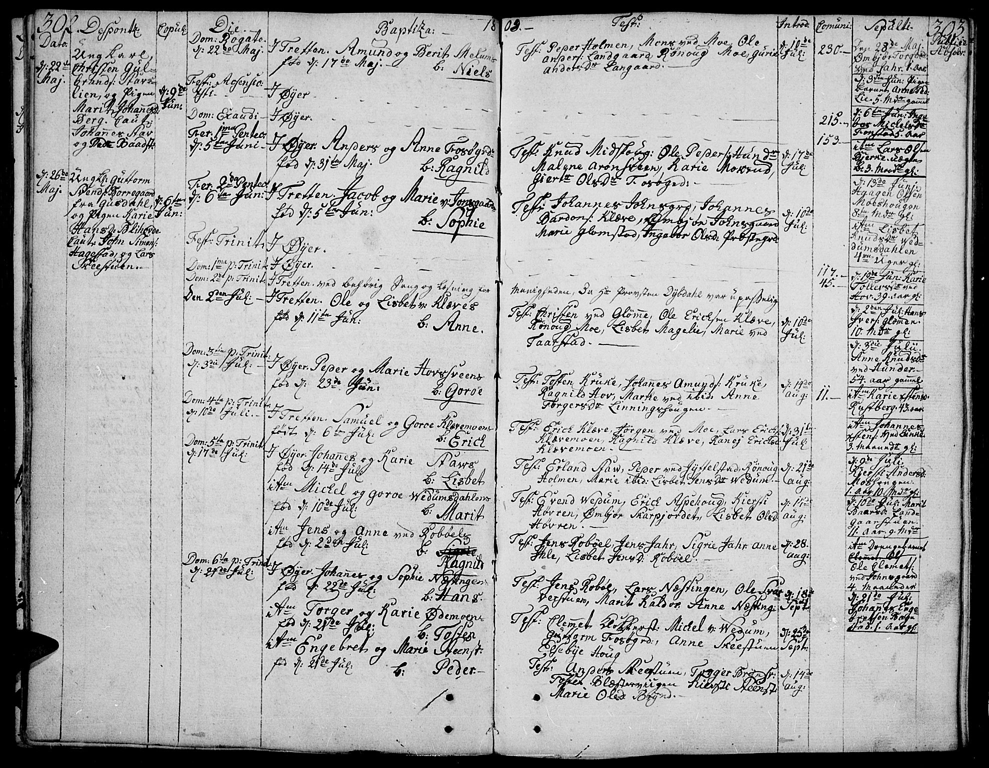 Øyer prestekontor, SAH/PREST-084/H/Ha/Haa/L0003: Parish register (official) no. 3, 1784-1824, p. 302-303