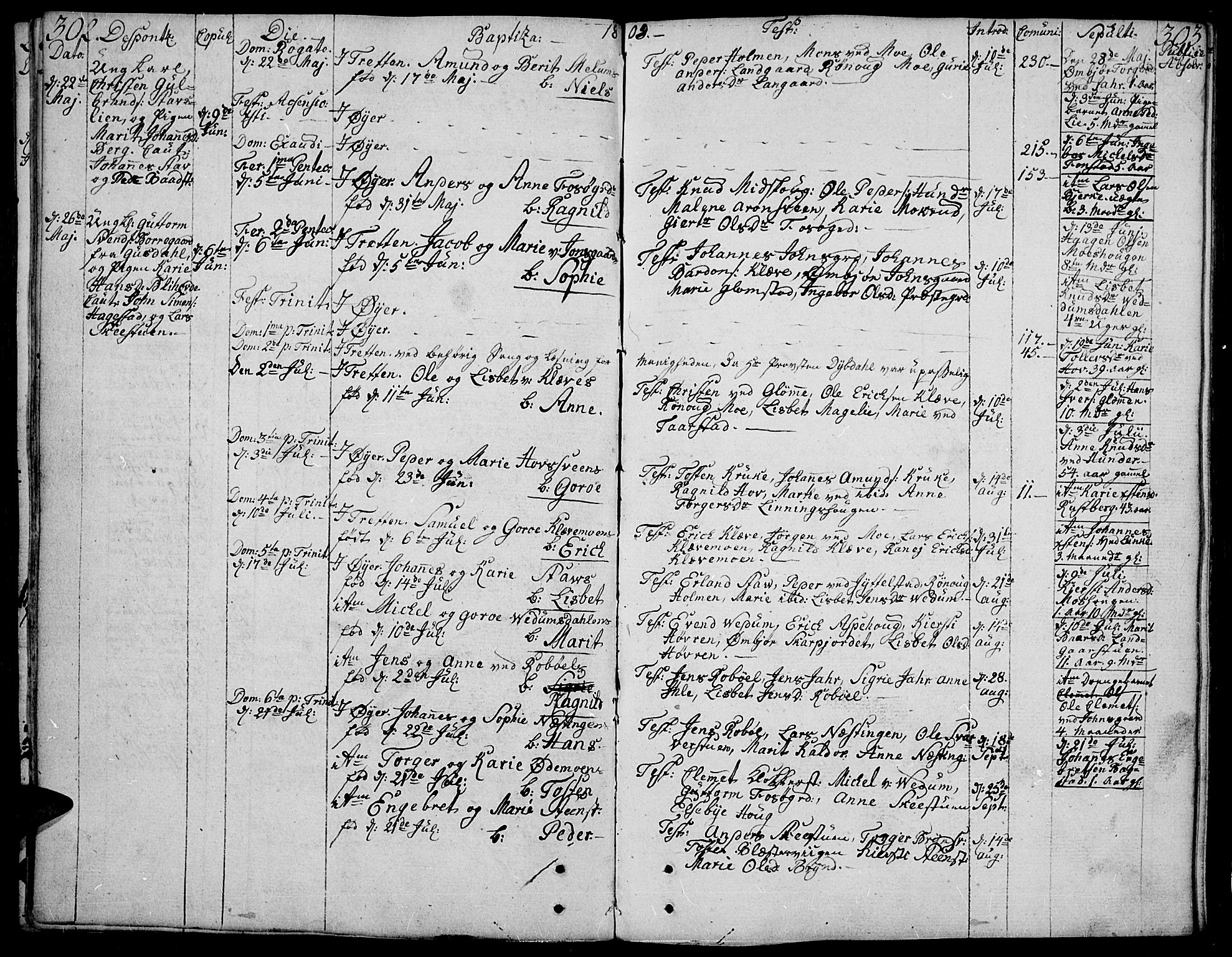 Øyer prestekontor, AV/SAH-PREST-084/H/Ha/Haa/L0003: Parish register (official) no. 3, 1784-1824, p. 302-303