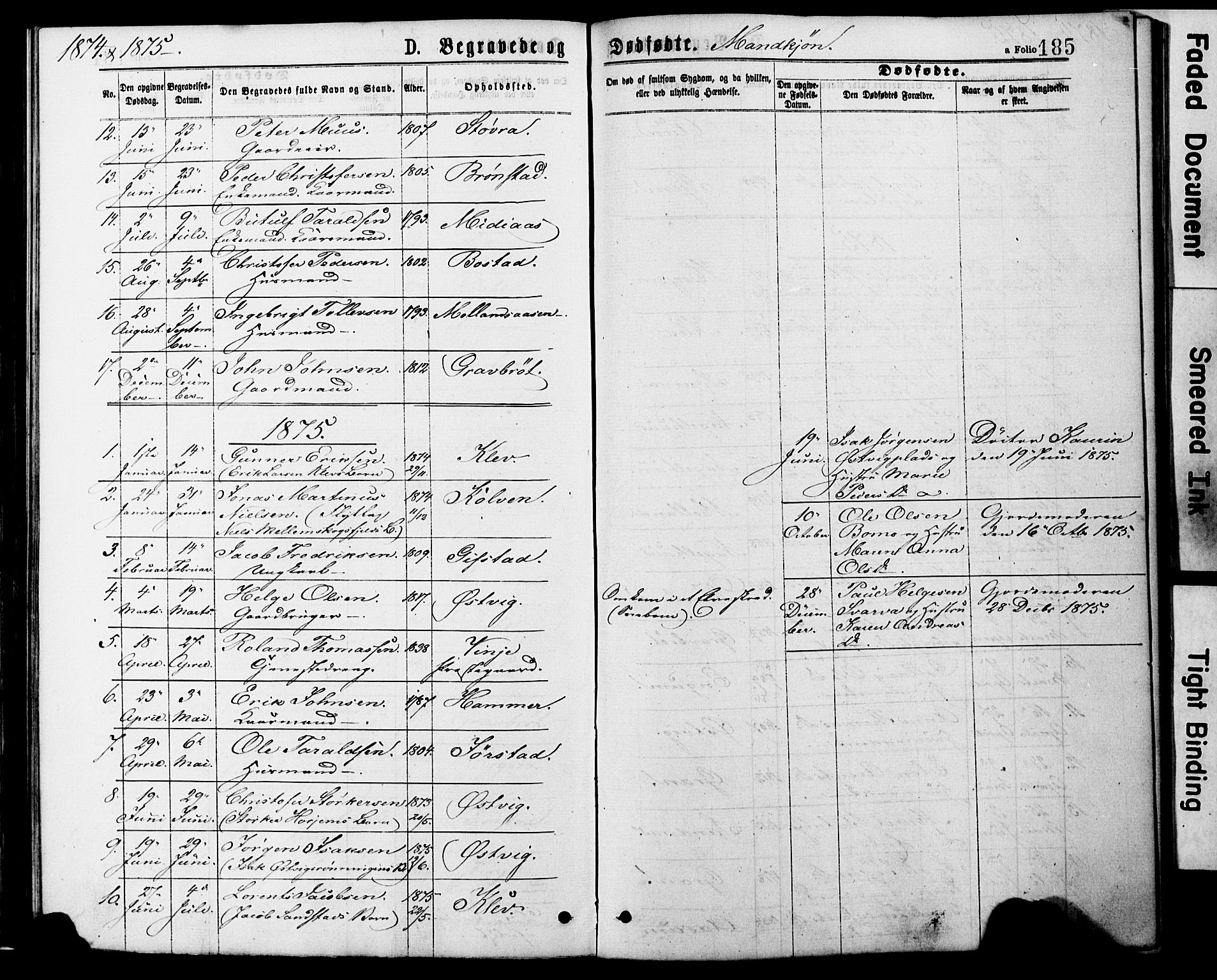 Ministerialprotokoller, klokkerbøker og fødselsregistre - Nord-Trøndelag, SAT/A-1458/749/L0473: Parish register (official) no. 749A07, 1873-1887, p. 185