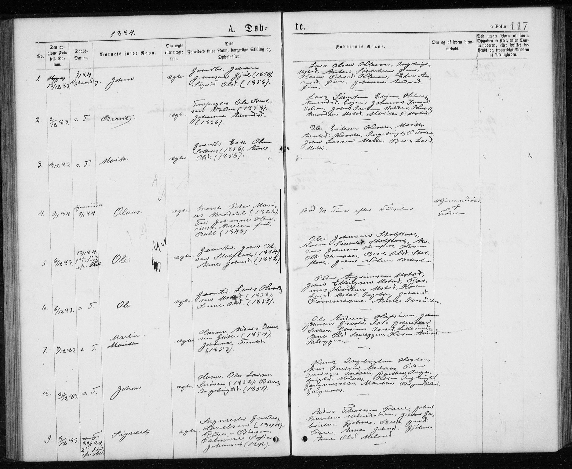 Ministerialprotokoller, klokkerbøker og fødselsregistre - Sør-Trøndelag, SAT/A-1456/668/L0817: Parish register (copy) no. 668C06, 1873-1884, p. 117