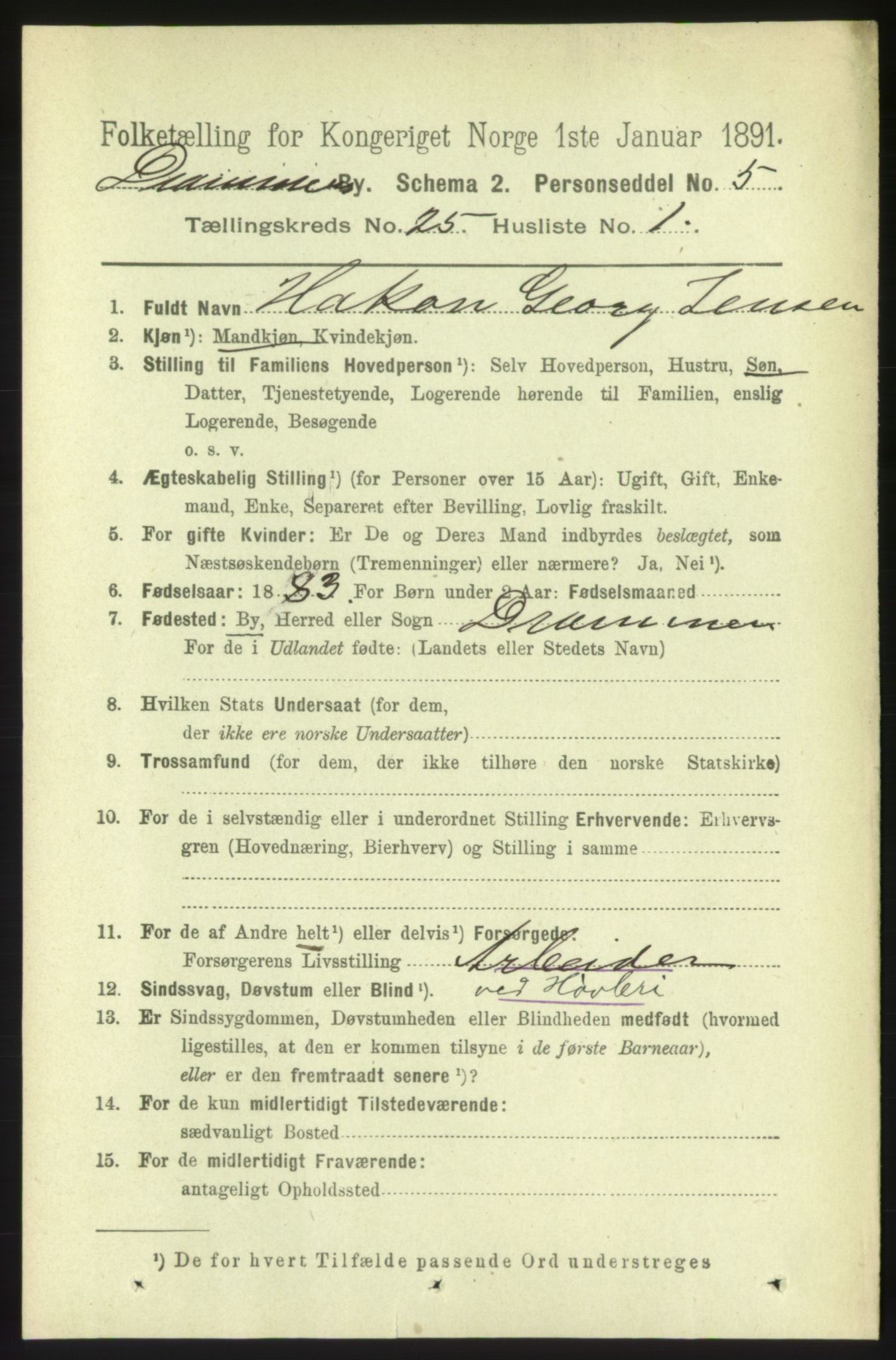 RA, 1891 census for 0602 Drammen, 1891, p. 15161