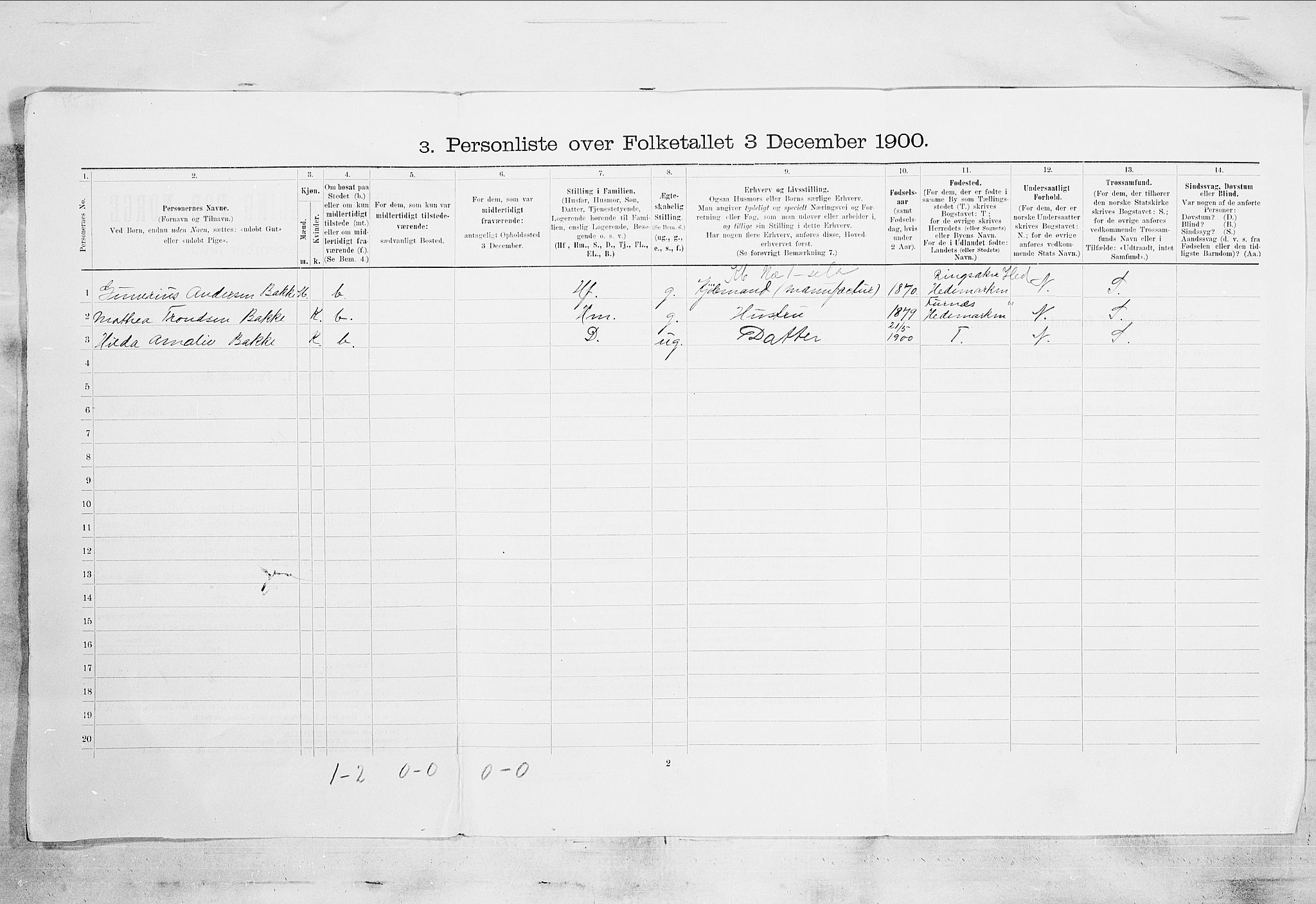 SAKO, 1900 census for Skien, 1900, p. 85