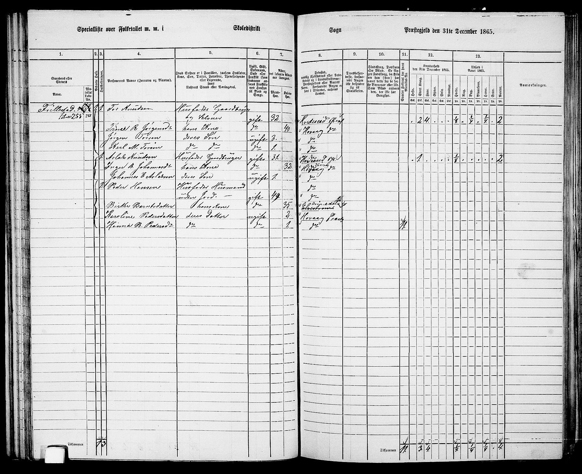 RA, 1865 census for Høvåg, 1865, p. 74