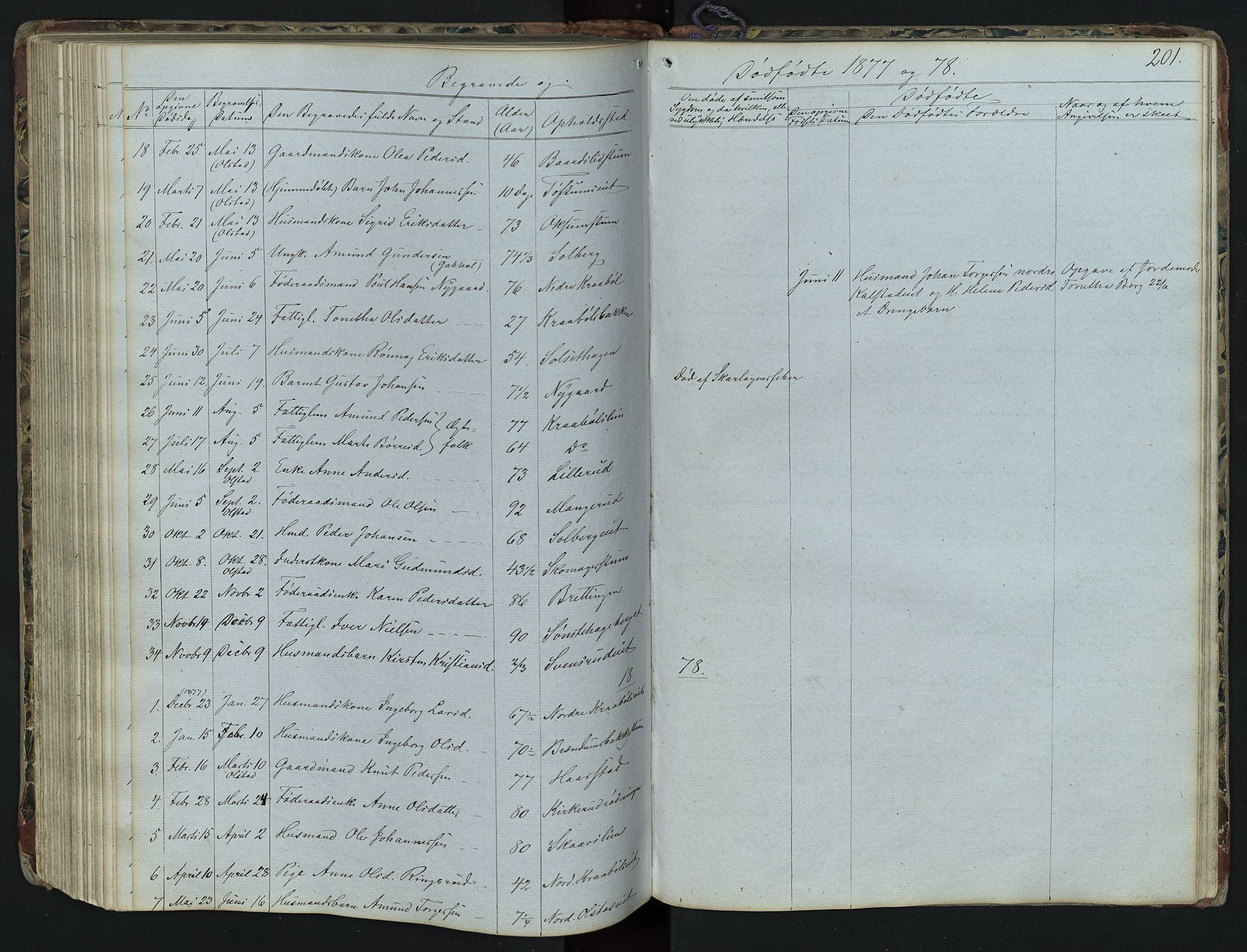 Vestre Gausdal prestekontor, AV/SAH-PREST-094/H/Ha/Hab/L0001: Parish register (copy) no. 1, 1867-1895, p. 201