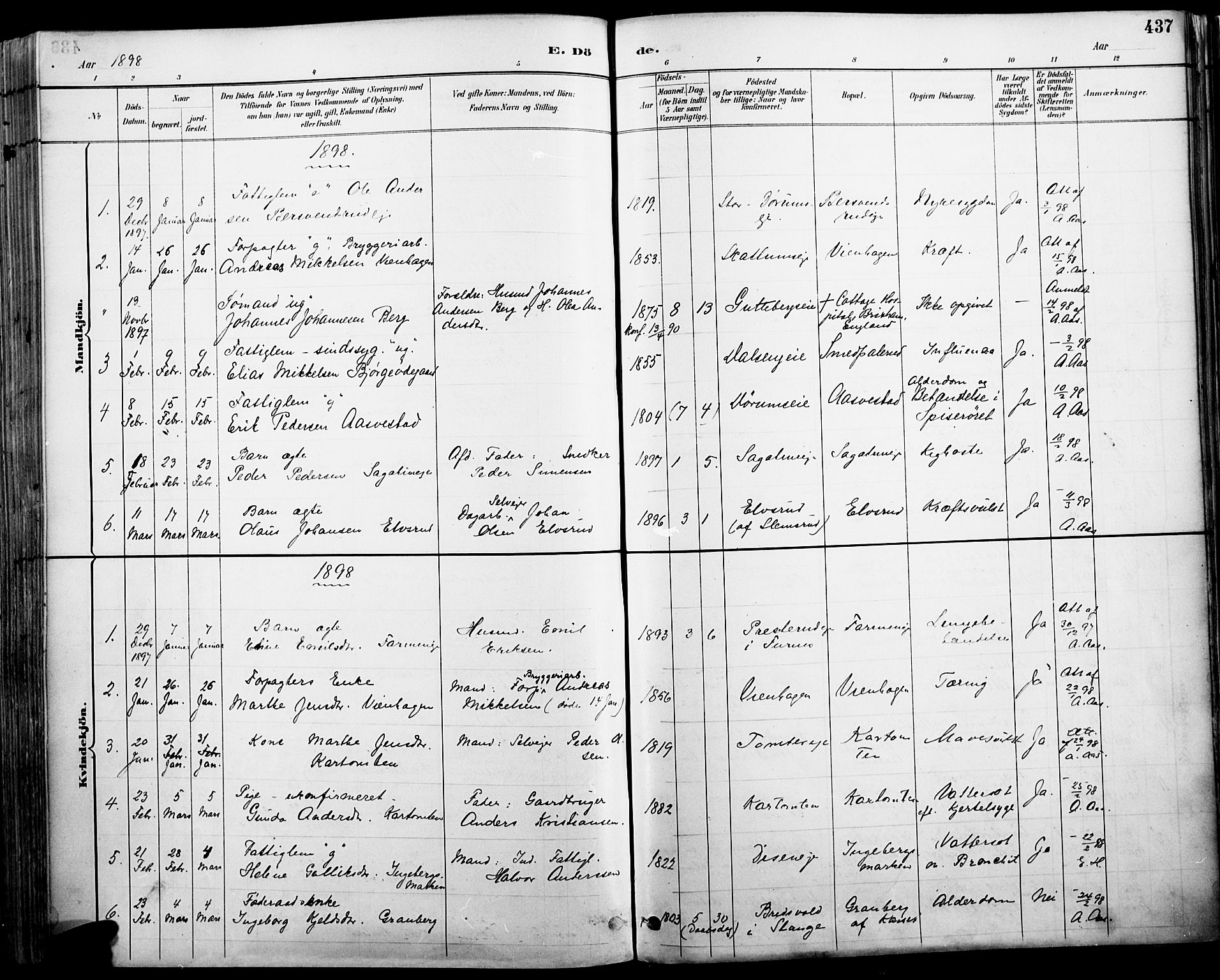 Vang prestekontor, Hedmark, SAH/PREST-008/H/Ha/Haa/L0019A: Parish register (official) no. 19, 1886-1900, p. 437
