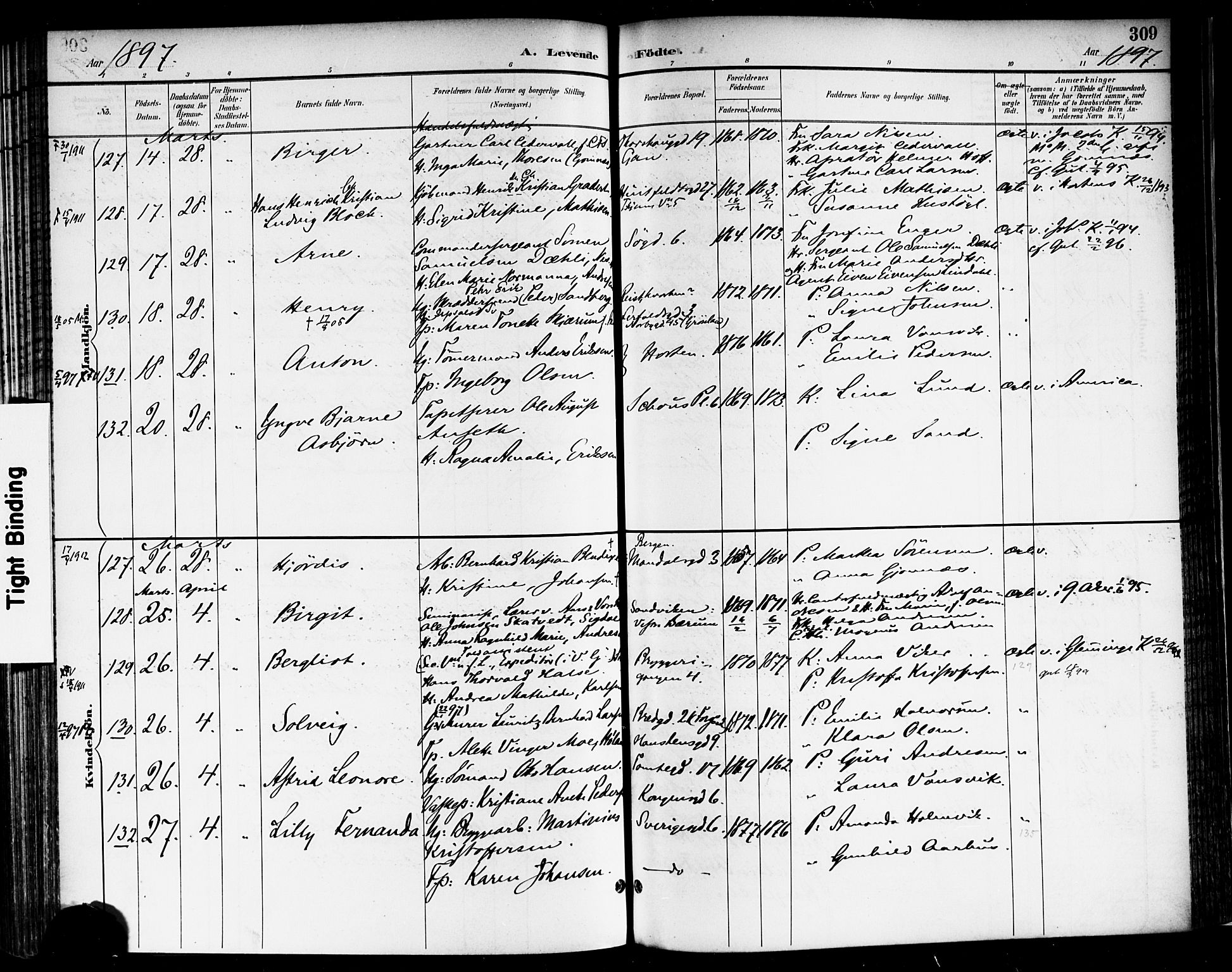Rikshospitalet prestekontor Kirkebøker, AV/SAO-A-10309b/F/L0009: Parish register (official) no. 9, 1894-1897, p. 309