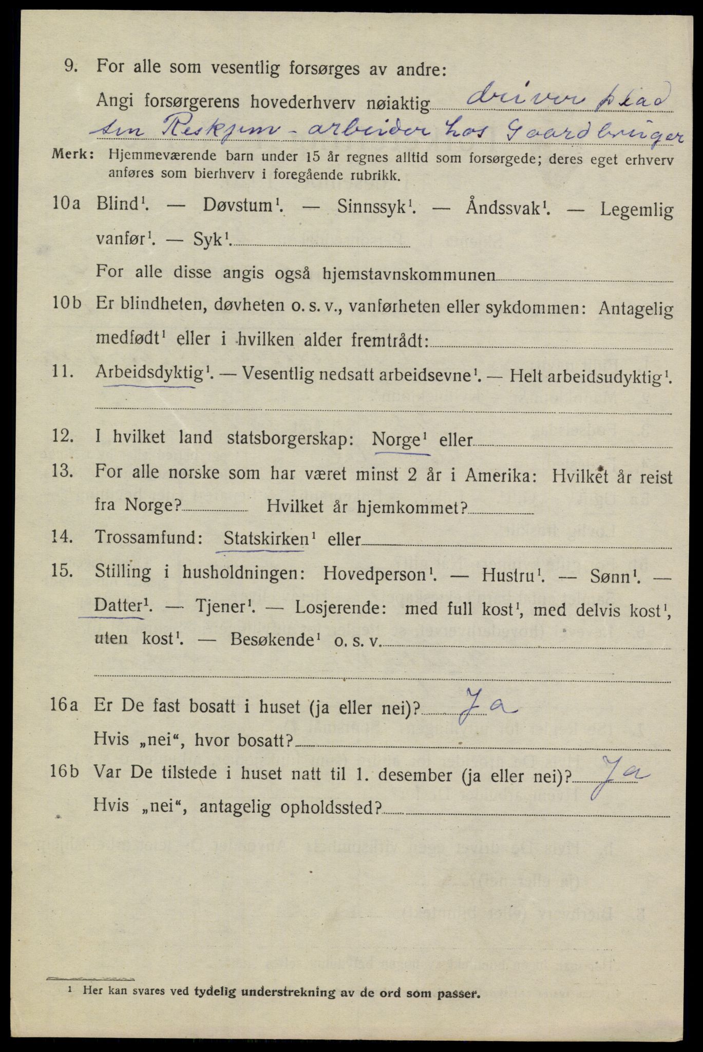 SAKO, 1920 census for Heddal, 1920, p. 5411