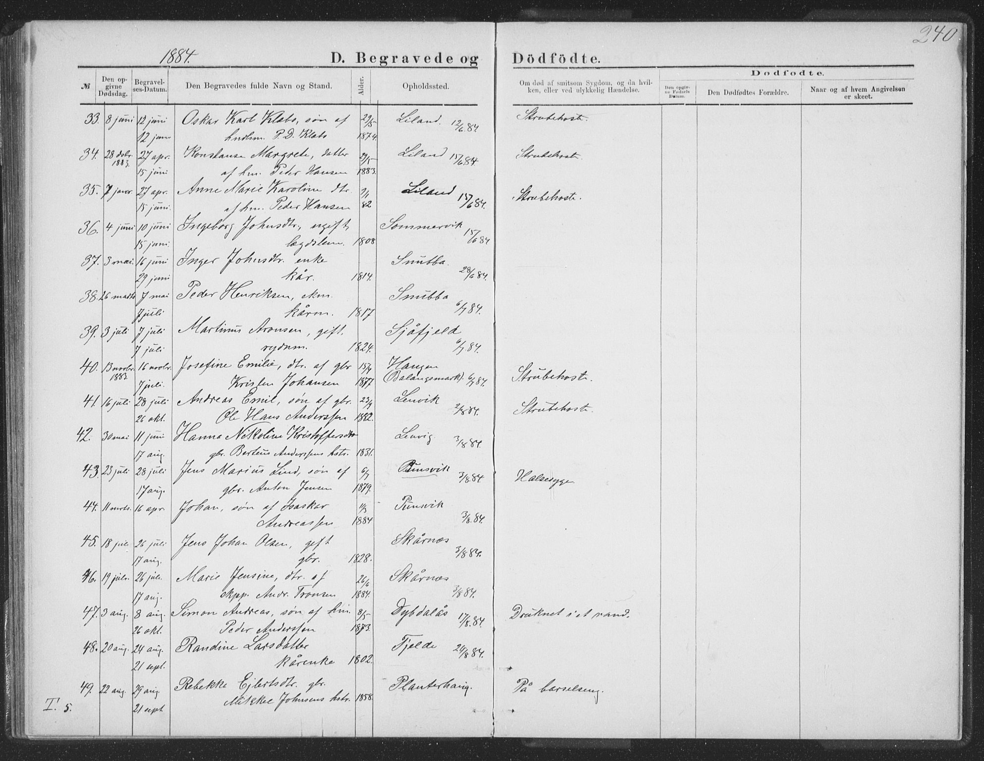 Ministerialprotokoller, klokkerbøker og fødselsregistre - Nordland, SAT/A-1459/863/L0913: Parish register (copy) no. 863C03, 1877-1885, p. 240