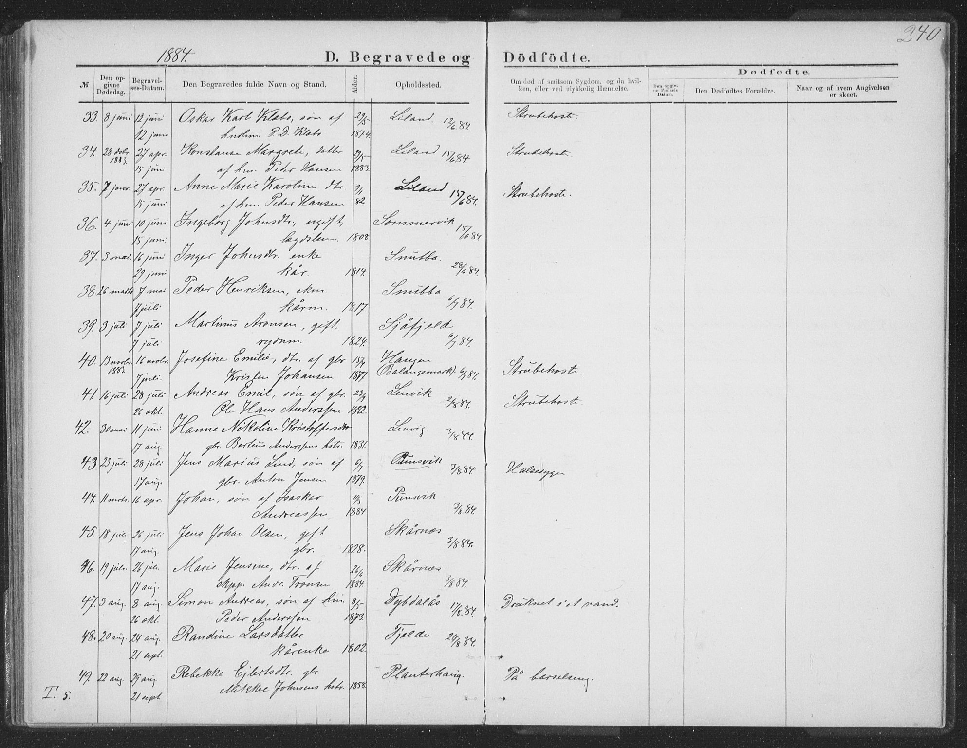 Ministerialprotokoller, klokkerbøker og fødselsregistre - Nordland, AV/SAT-A-1459/863/L0913: Parish register (copy) no. 863C03, 1877-1885, p. 240