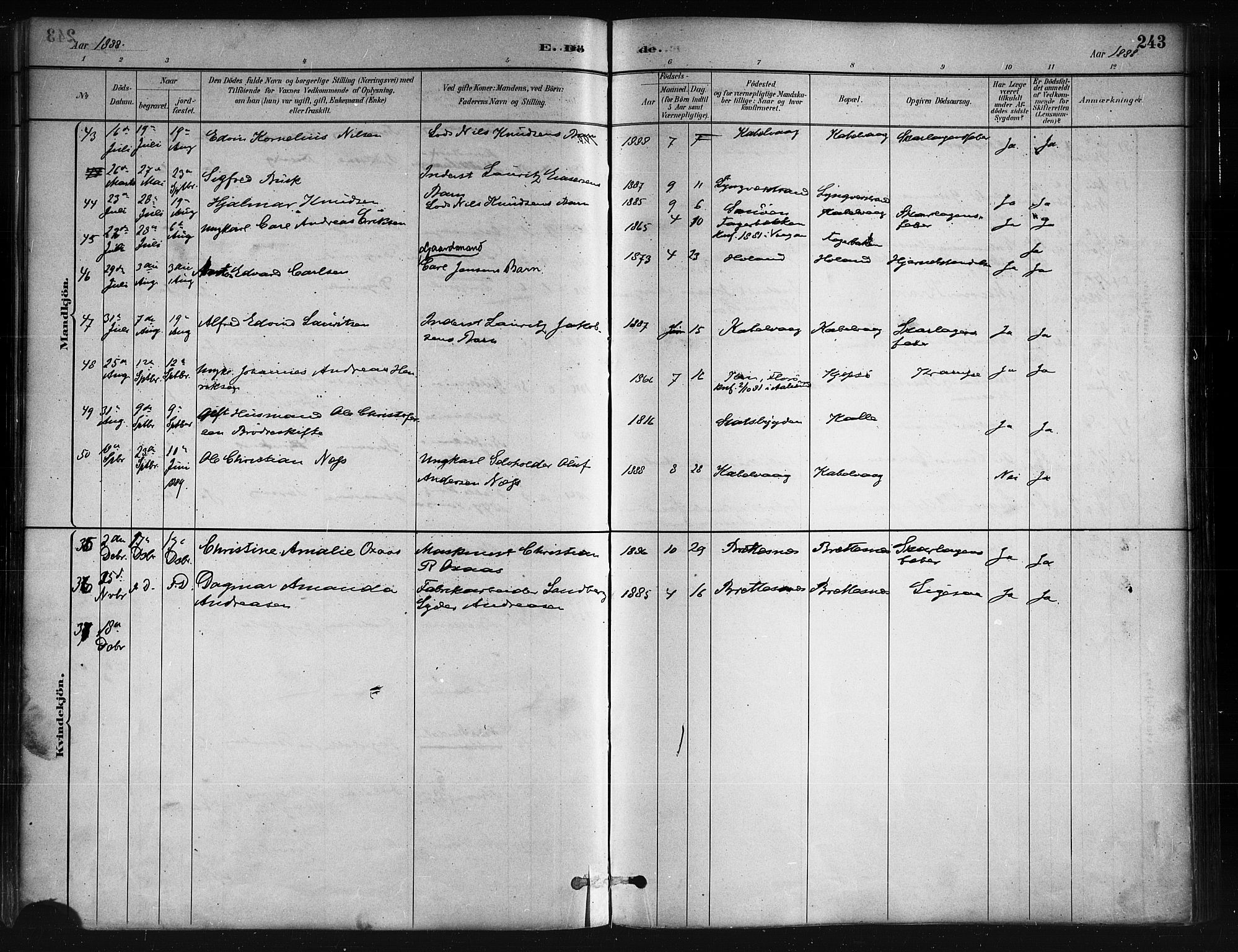 Ministerialprotokoller, klokkerbøker og fødselsregistre - Nordland, AV/SAT-A-1459/874/L1059: Parish register (official) no. 874A03, 1884-1890, p. 243