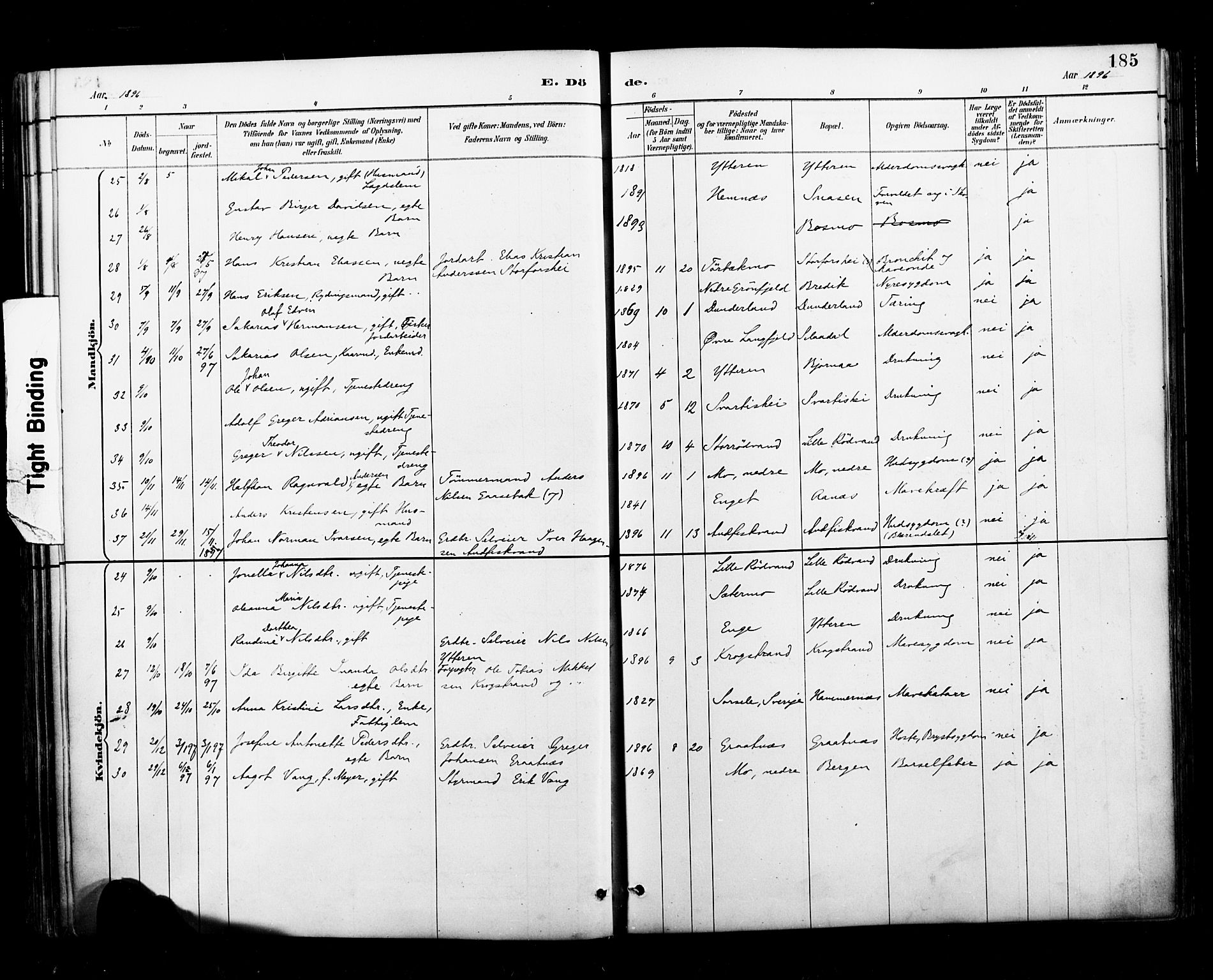 Ministerialprotokoller, klokkerbøker og fødselsregistre - Nordland, AV/SAT-A-1459/827/L0401: Parish register (official) no. 827A13, 1887-1905, p. 185