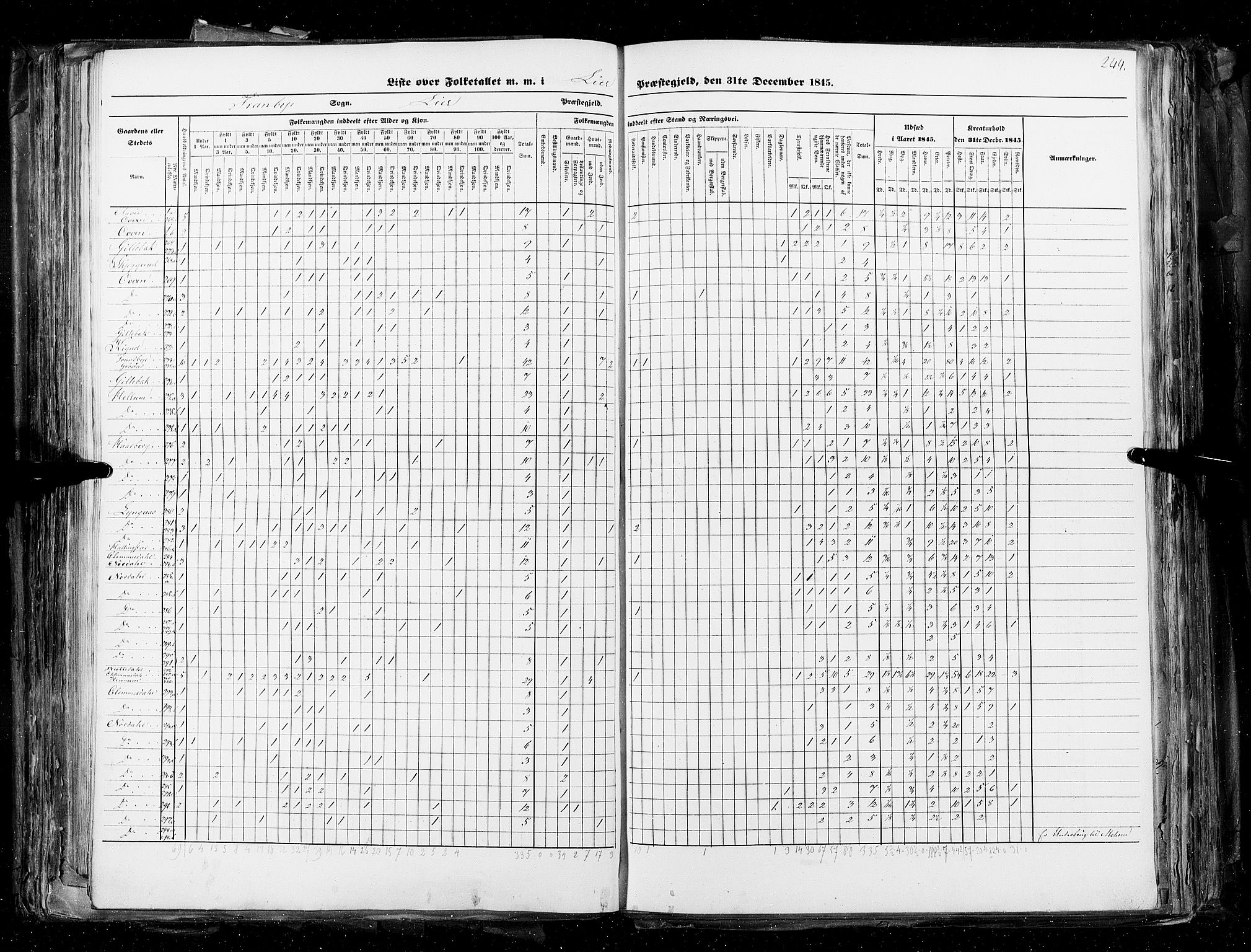 RA, Census 1845, vol. 4: Buskerud amt og Jarlsberg og Larvik amt, 1845, p. 244