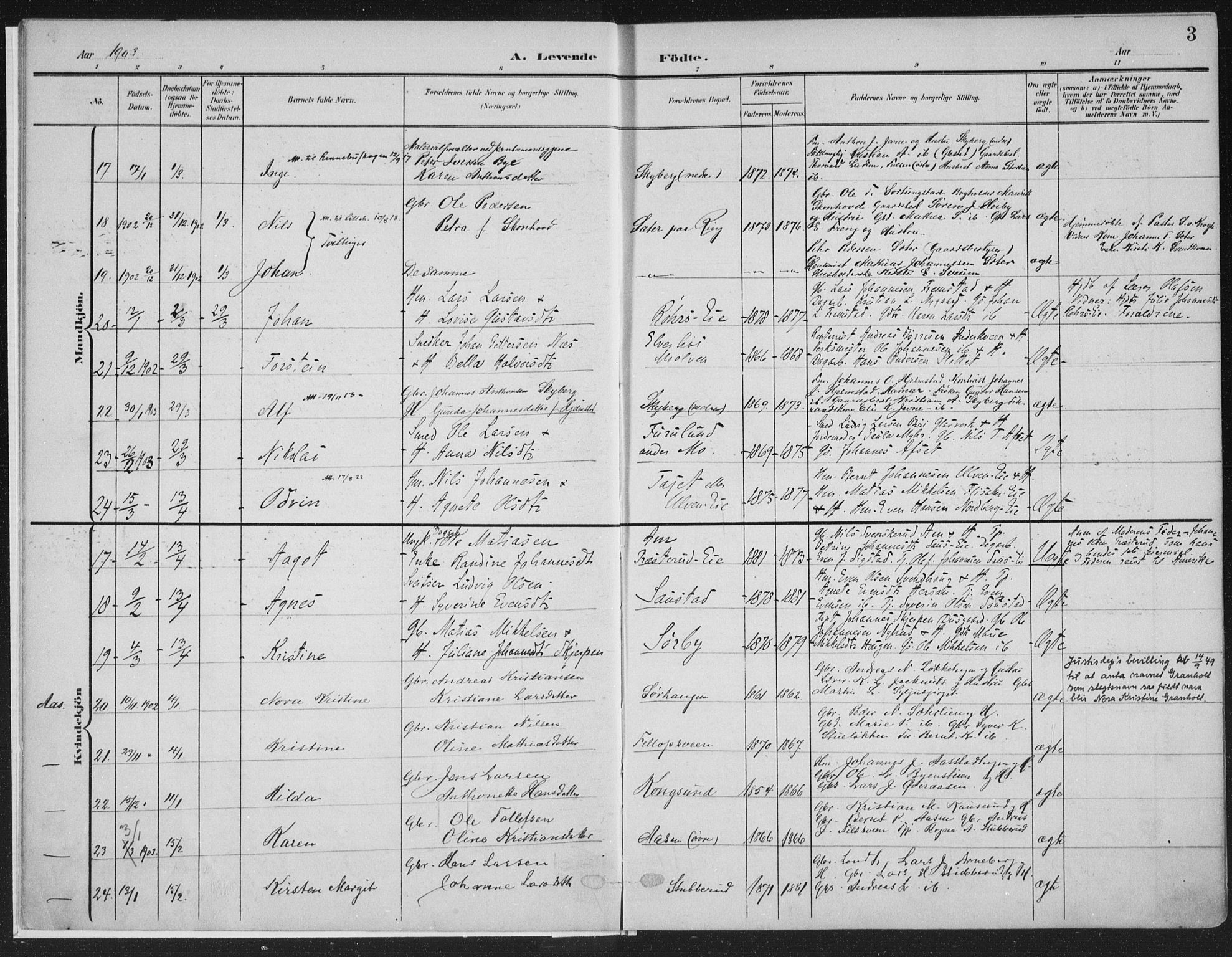 Ringsaker prestekontor, AV/SAH-PREST-014/K/Ka/L0018: Parish register (official) no. 18, 1903-1912, p. 3