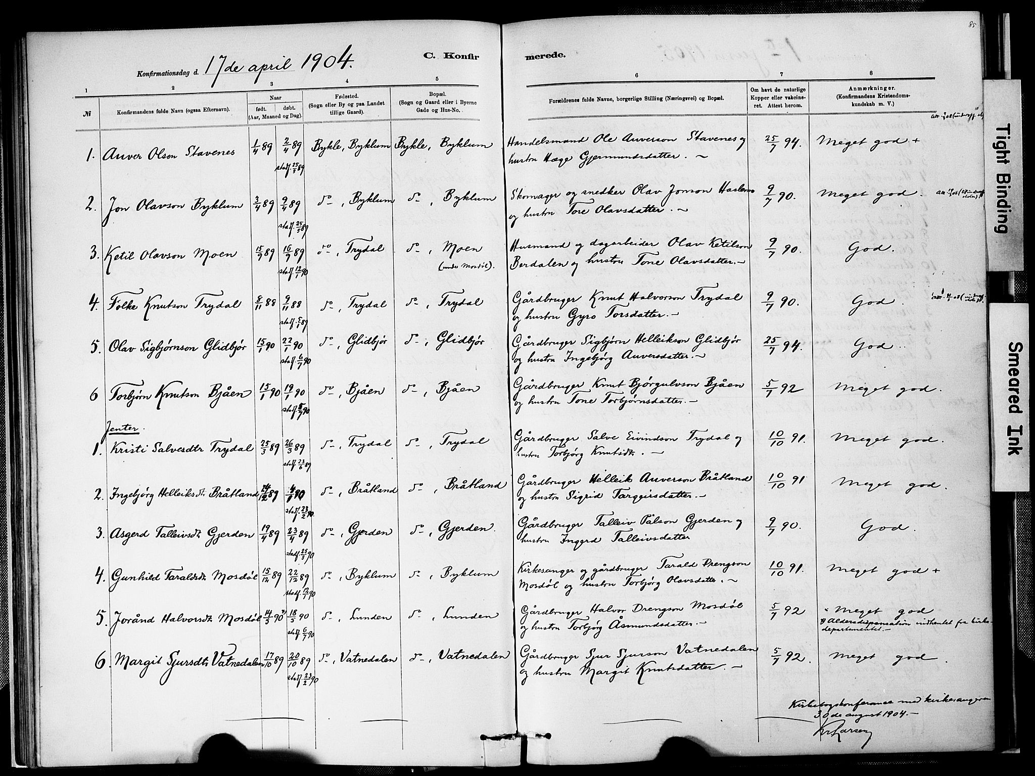 Valle sokneprestkontor, SAK/1111-0044/F/Fa/Faa/L0001: Parish register (official) no. A 1, 1882-1907, p. 85