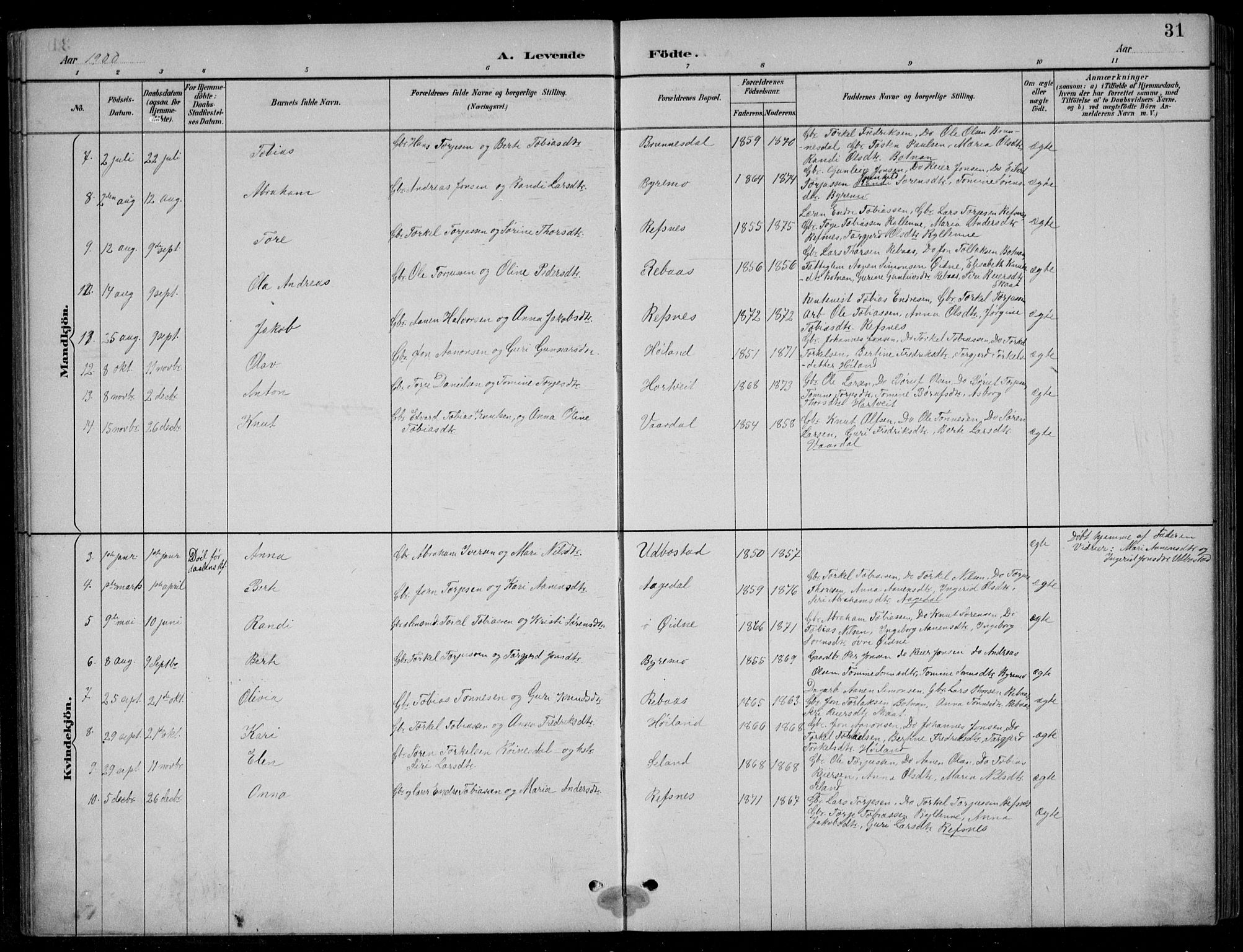 Bjelland sokneprestkontor, SAK/1111-0005/F/Fb/Fbc/L0003: Parish register (copy) no. B 3, 1887-1924, p. 31