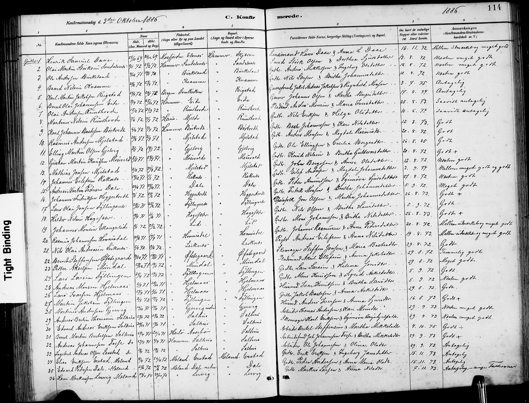 Hamre sokneprestembete, SAB/A-75501/H/Ha/Hab: Parish register (copy) no. B 3, 1881-1898, p. 114