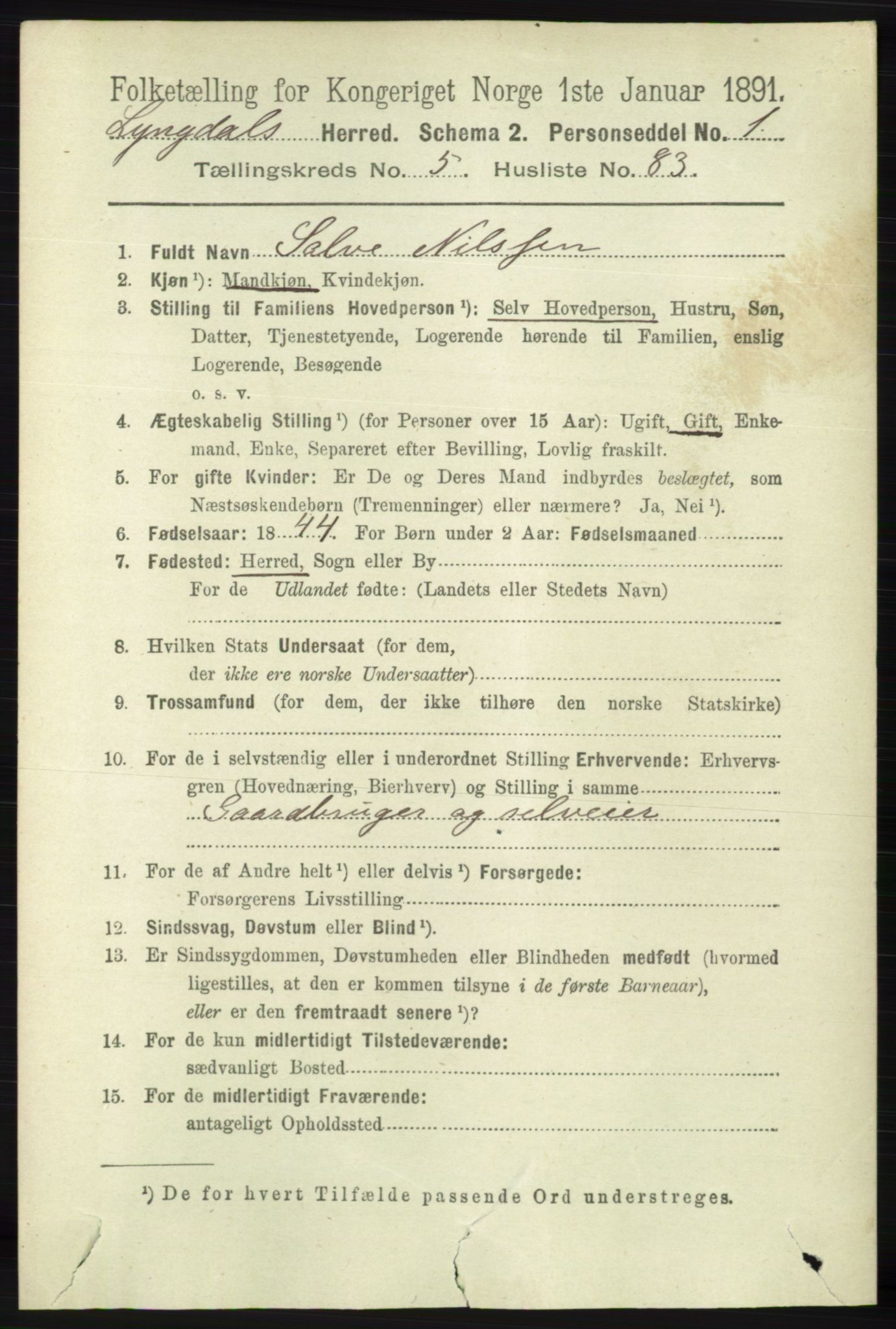 RA, 1891 census for 1032 Lyngdal, 1891, p. 2364