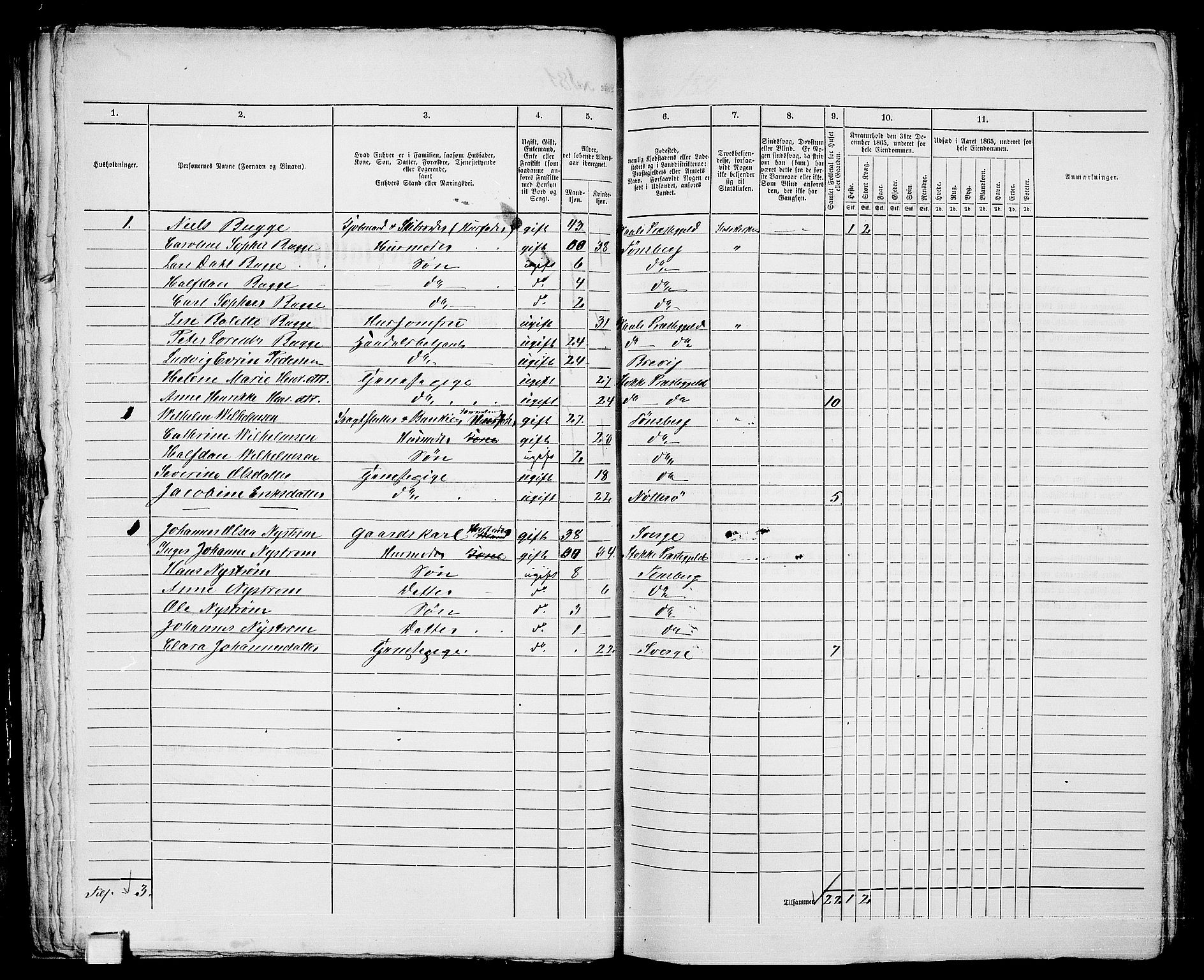 RA, 1865 census for Tønsberg, 1865, p. 397