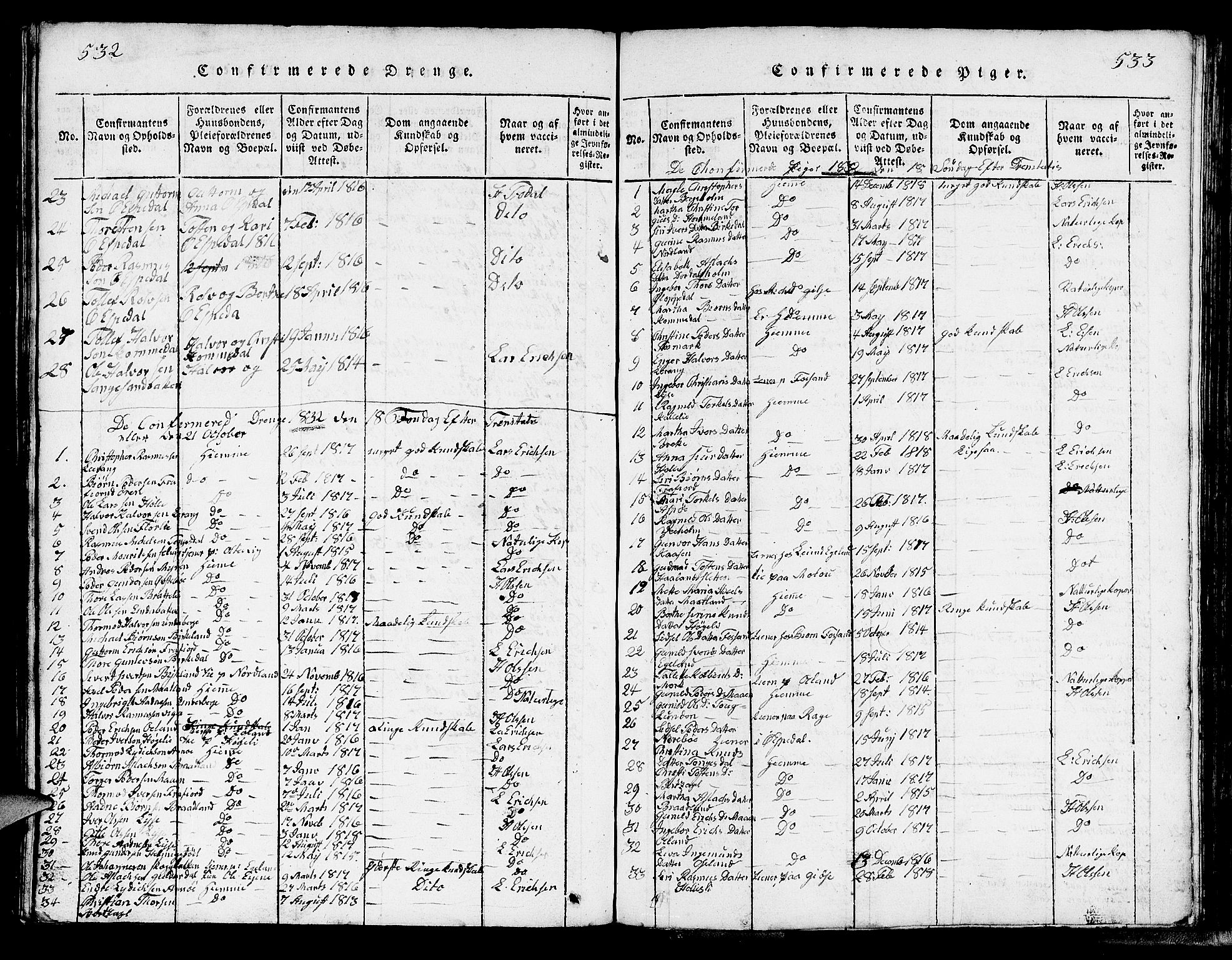 Strand sokneprestkontor, SAST/A-101828/H/Ha/Hab/L0002: Parish register (copy) no. B 2, 1816-1854, p. 532-533