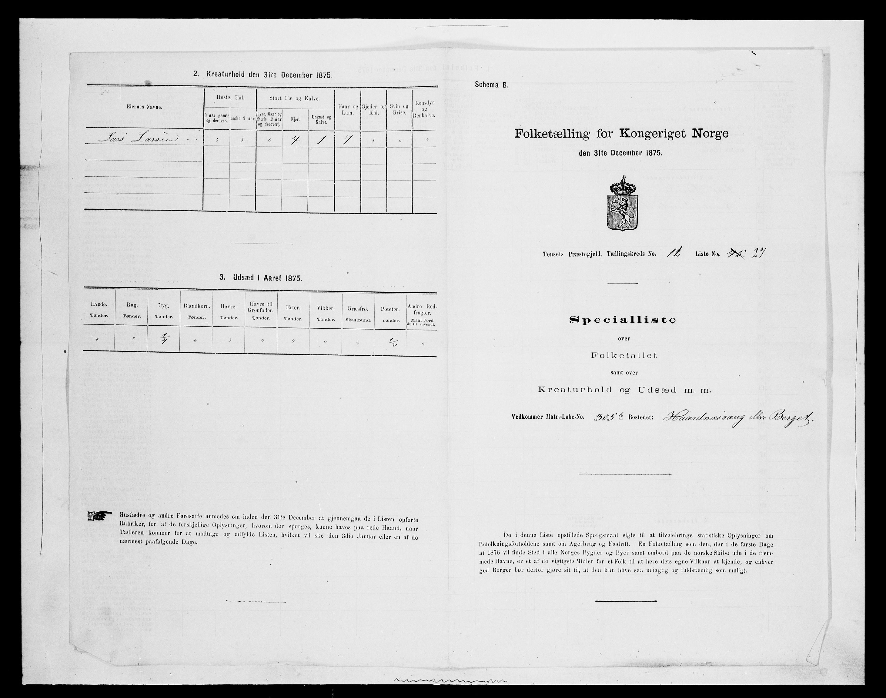 SAH, 1875 census for 0437P Tynset, 1875, p. 1049