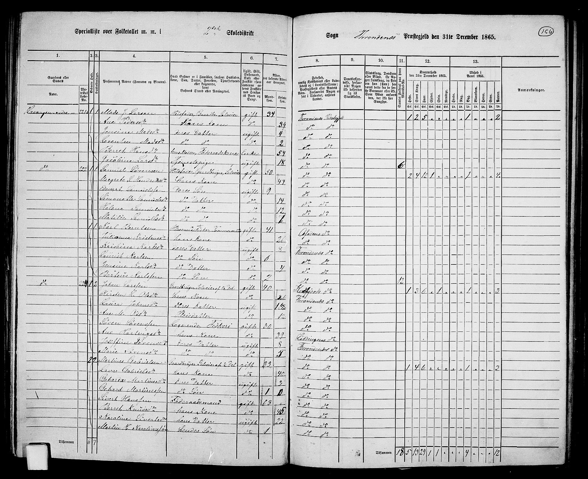 RA, 1865 census for Trondenes, 1865, p. 45