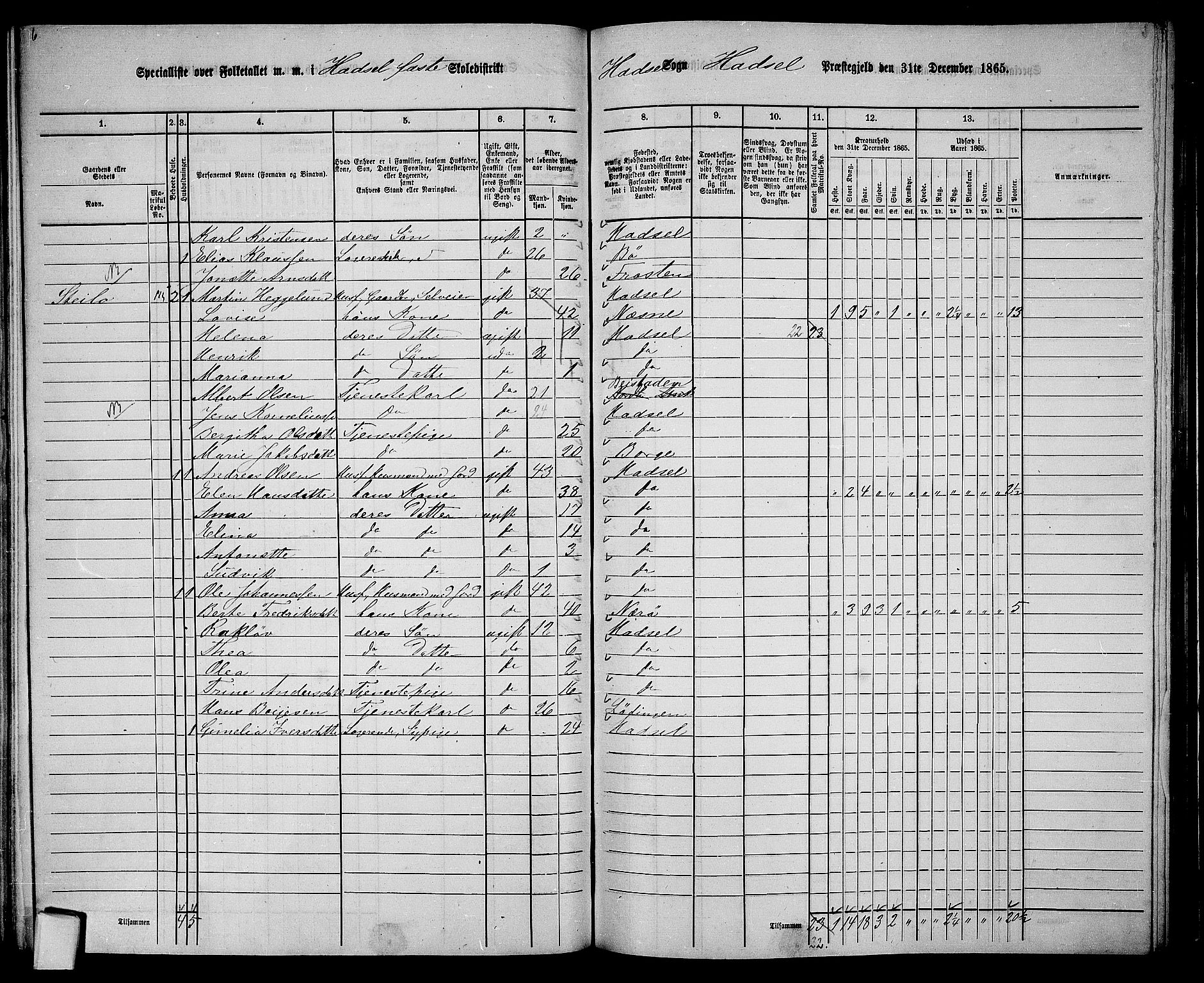 RA, 1865 census for Hadsel, 1865, p. 115