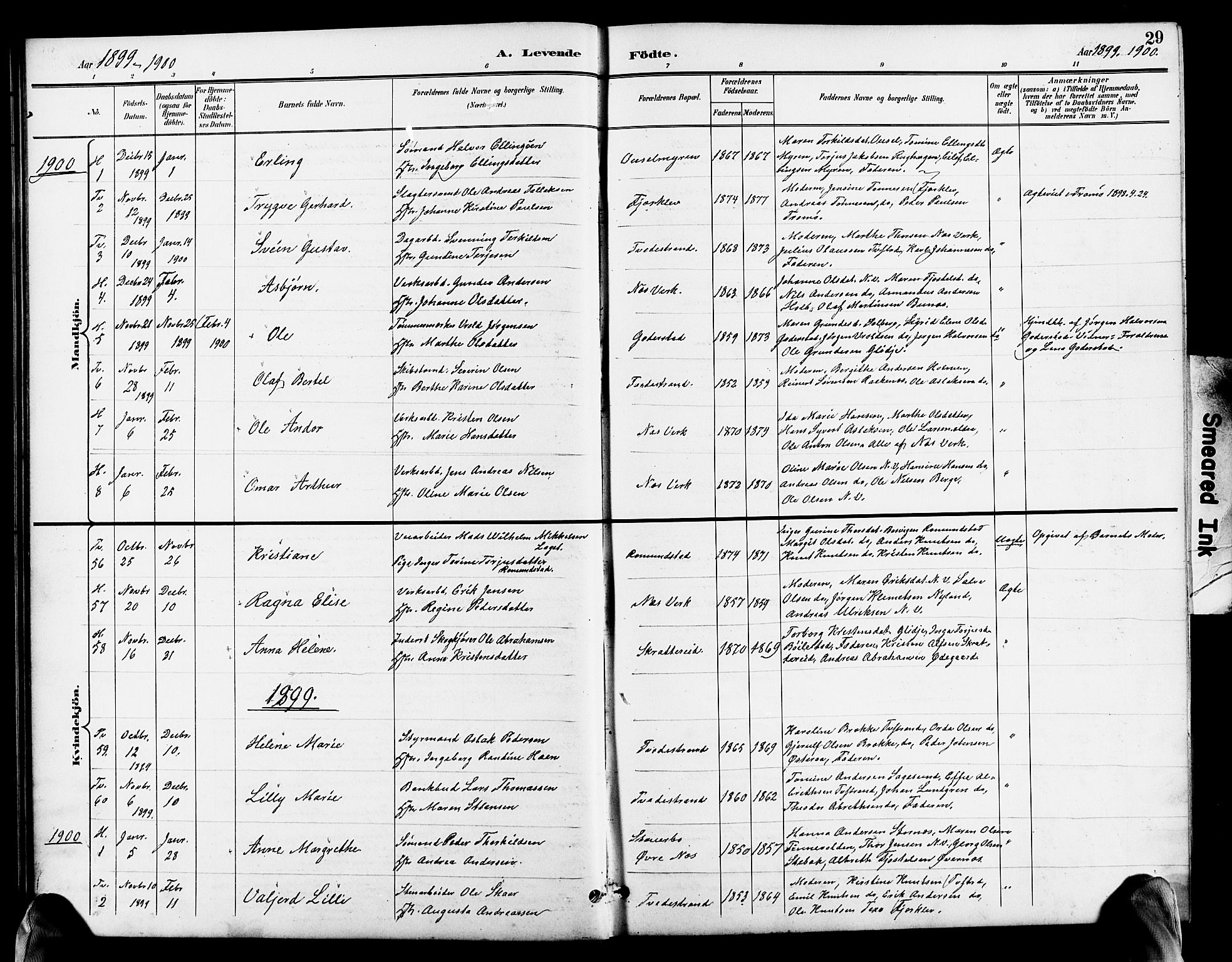 Holt sokneprestkontor, SAK/1111-0021/F/Fb/L0011: Parish register (copy) no. B 11, 1897-1921, p. 29