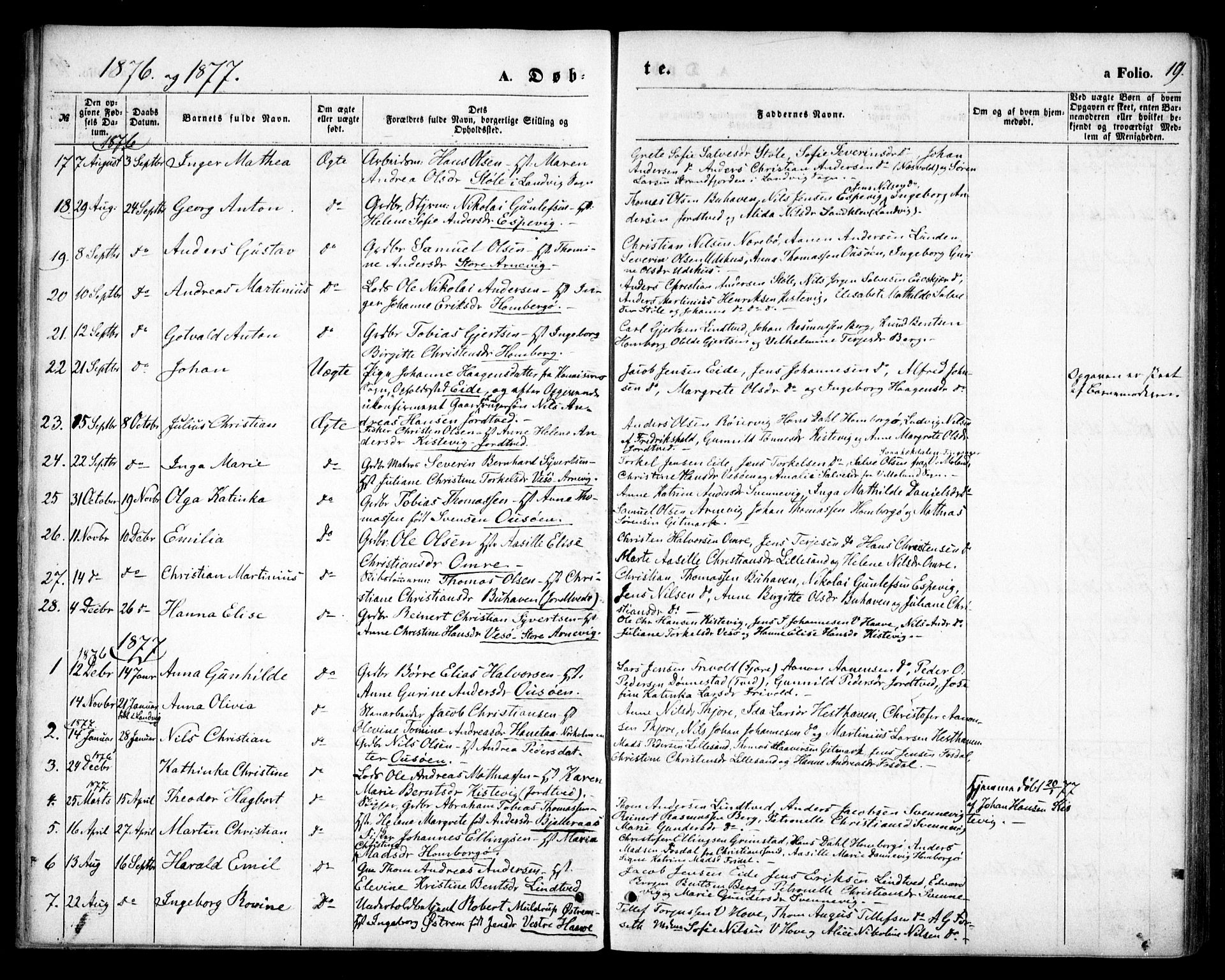 Hommedal sokneprestkontor, AV/SAK-1111-0023/F/Fa/Faa/L0002: Parish register (official) no. A 2, 1861-1884, p. 19