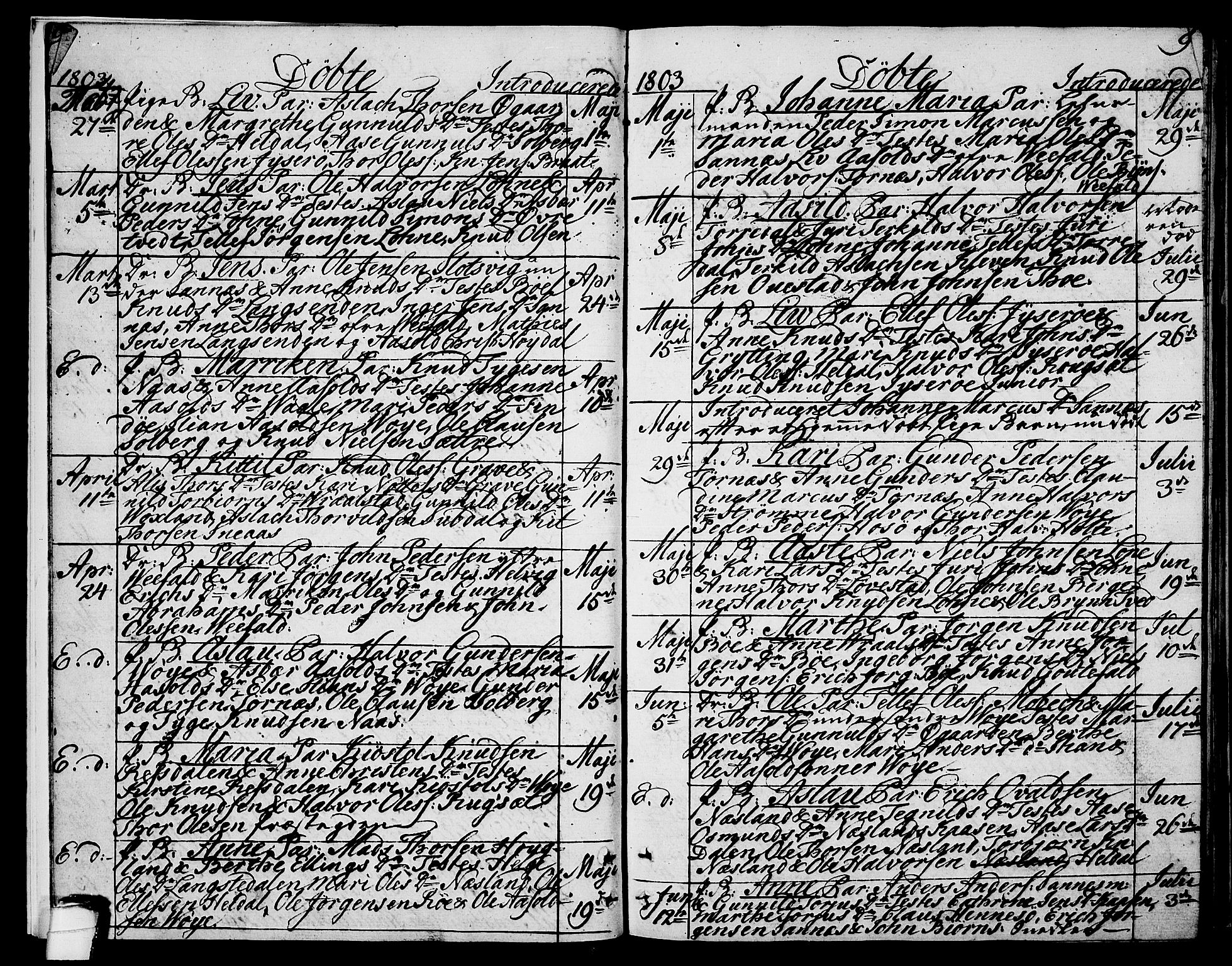 Drangedal kirkebøker, SAKO/A-258/F/Fa/L0004: Parish register (official) no. 4, 1802-1814, p. 8-9