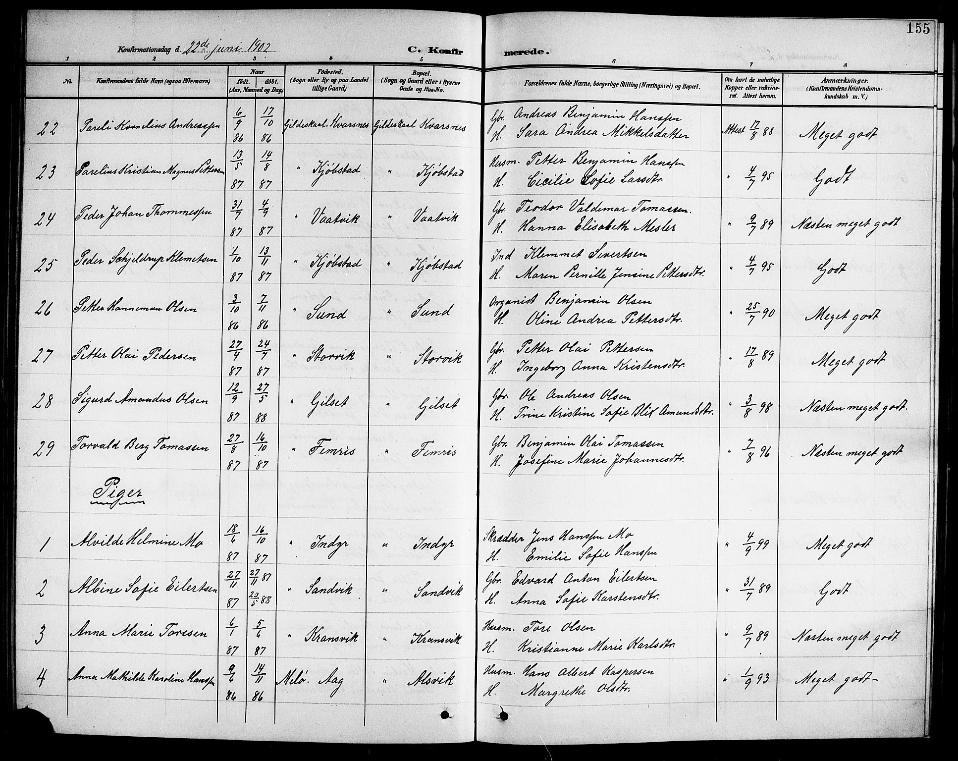 Ministerialprotokoller, klokkerbøker og fødselsregistre - Nordland, AV/SAT-A-1459/805/L0109: Parish register (copy) no. 805C05, 1900-1911, p. 155