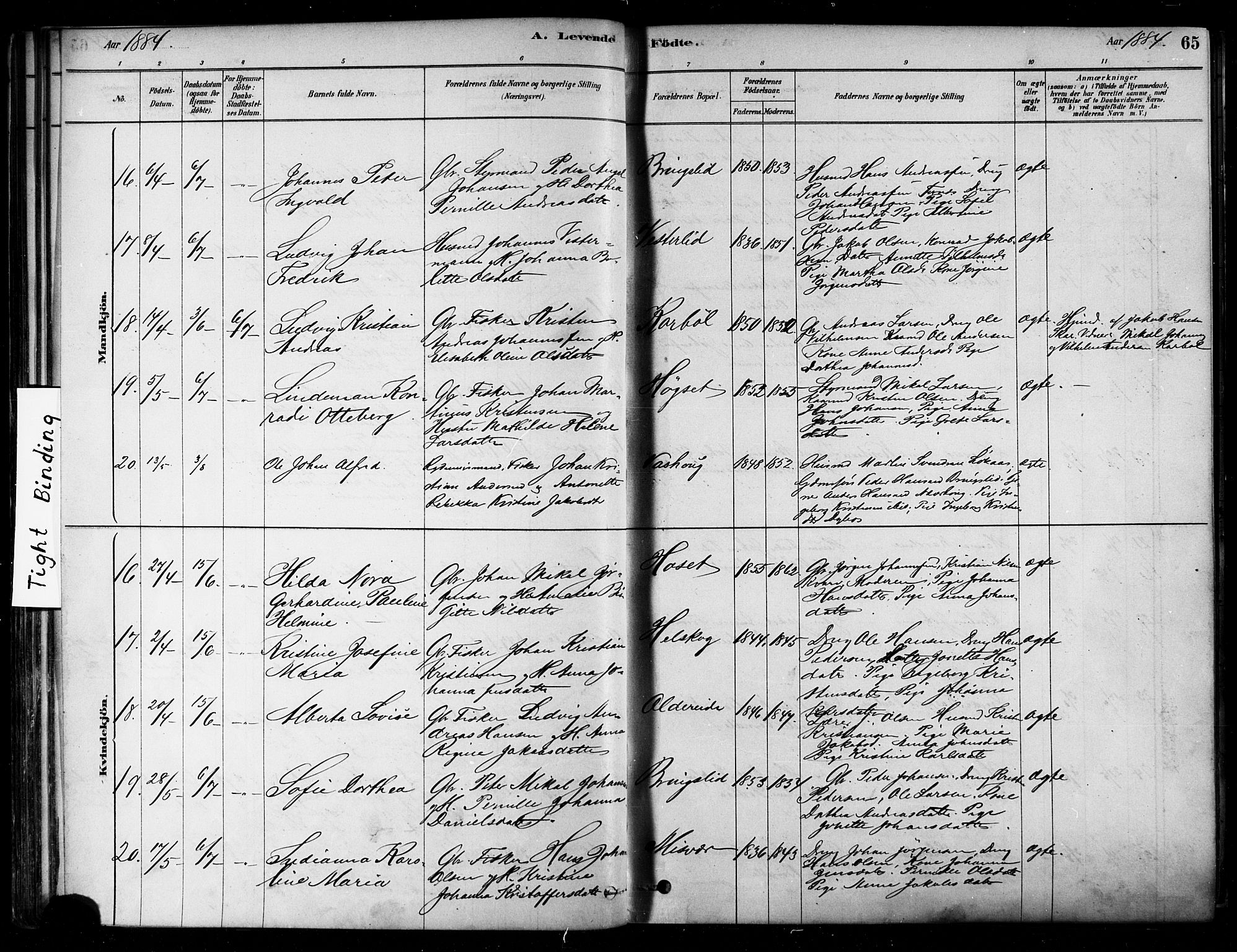 Ministerialprotokoller, klokkerbøker og fødselsregistre - Nordland, AV/SAT-A-1459/852/L0740: Parish register (official) no. 852A10, 1878-1894, p. 65
