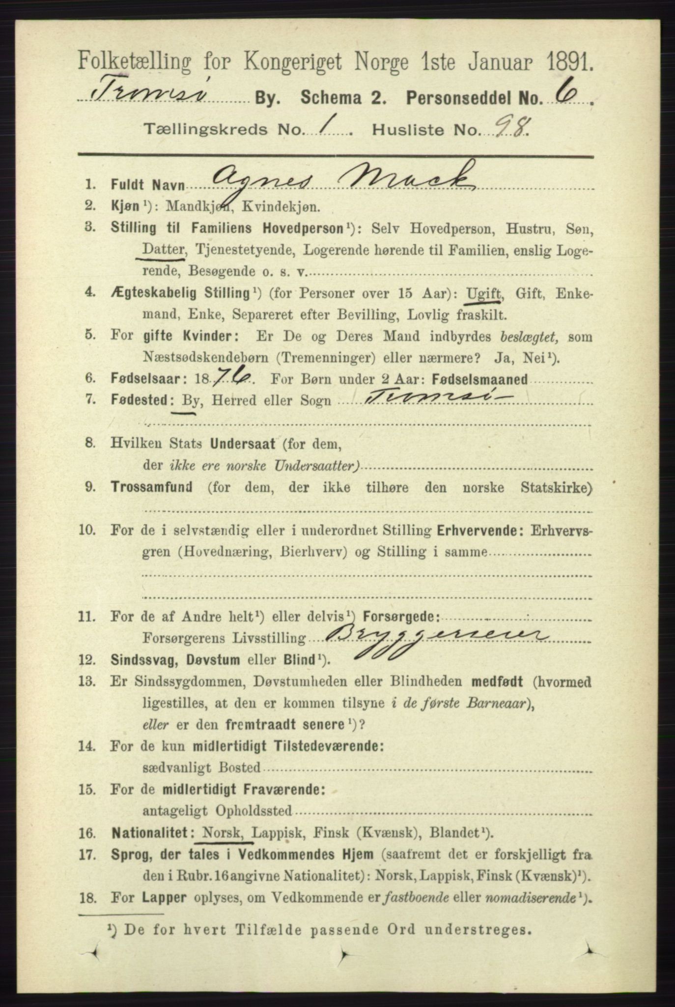 RA, 1891 census for 1902 Tromsø, 1891, p. 1316
