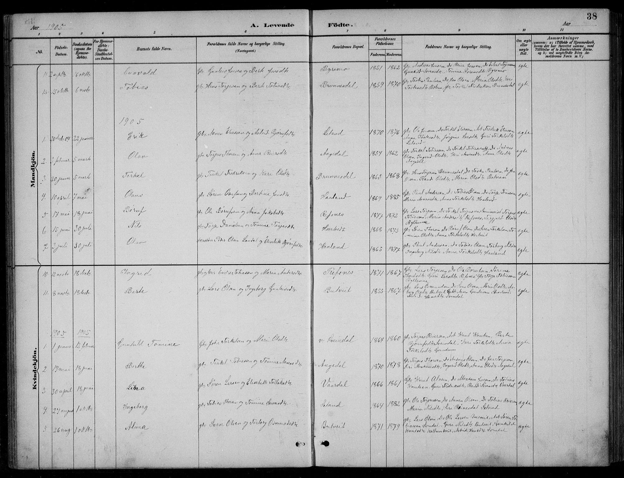 Bjelland sokneprestkontor, SAK/1111-0005/F/Fb/Fbc/L0003: Parish register (copy) no. B 3, 1887-1924, p. 38