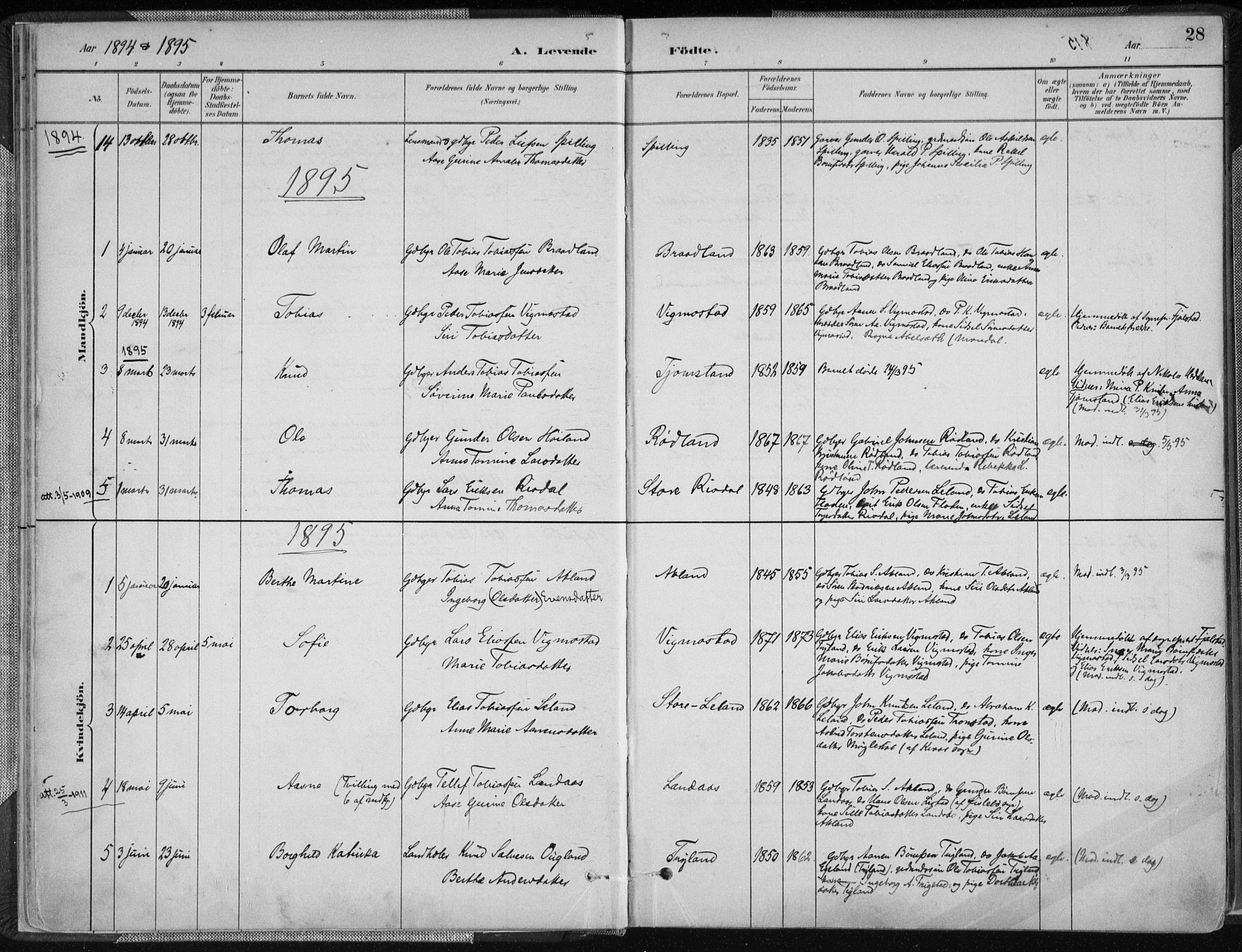Nord-Audnedal sokneprestkontor, SAK/1111-0032/F/Fa/Fab/L0003: Parish register (official) no. A 3, 1882-1900, p. 28