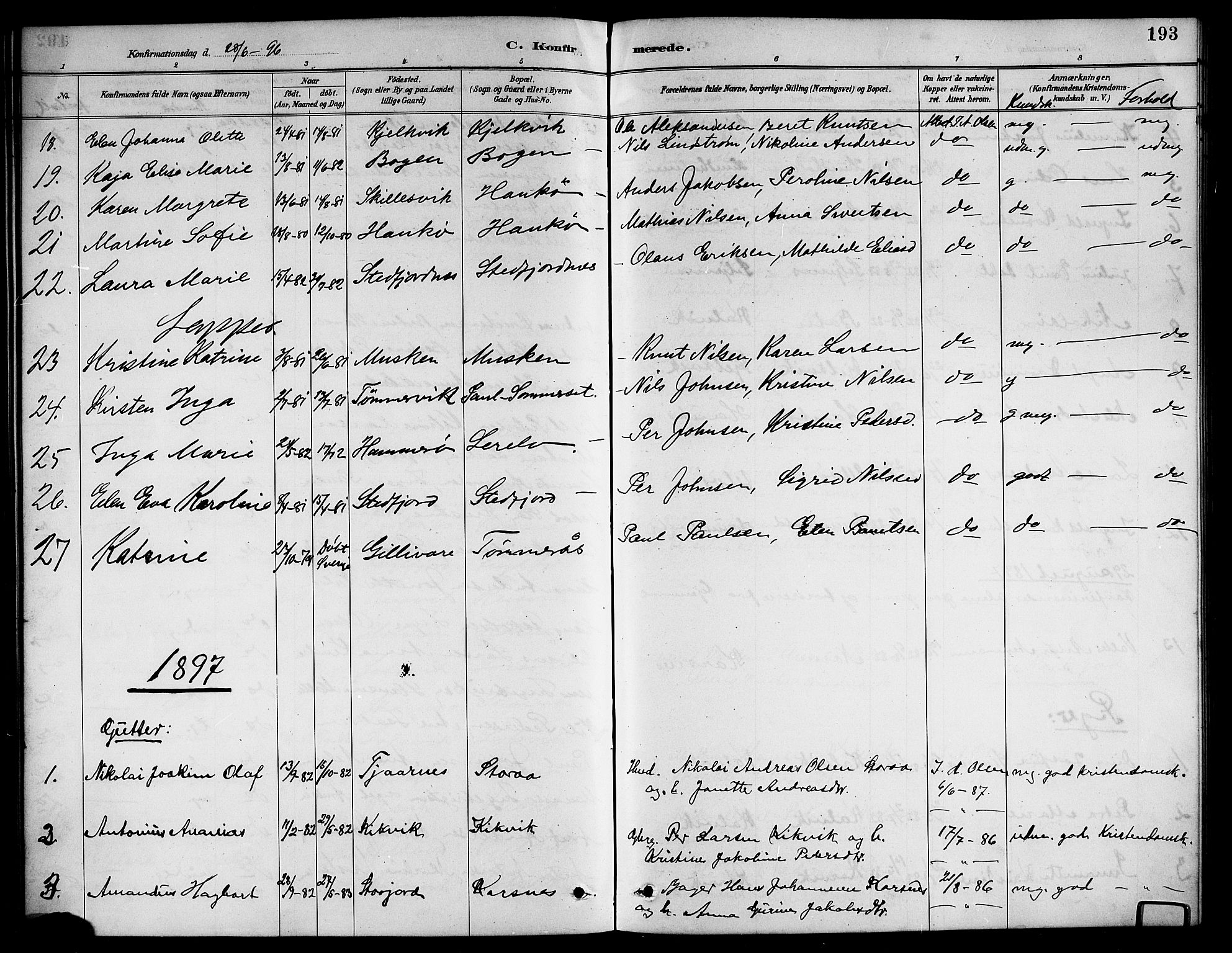 Ministerialprotokoller, klokkerbøker og fødselsregistre - Nordland, AV/SAT-A-1459/861/L0876: Parish register (copy) no. 861C02, 1887-1903, p. 193