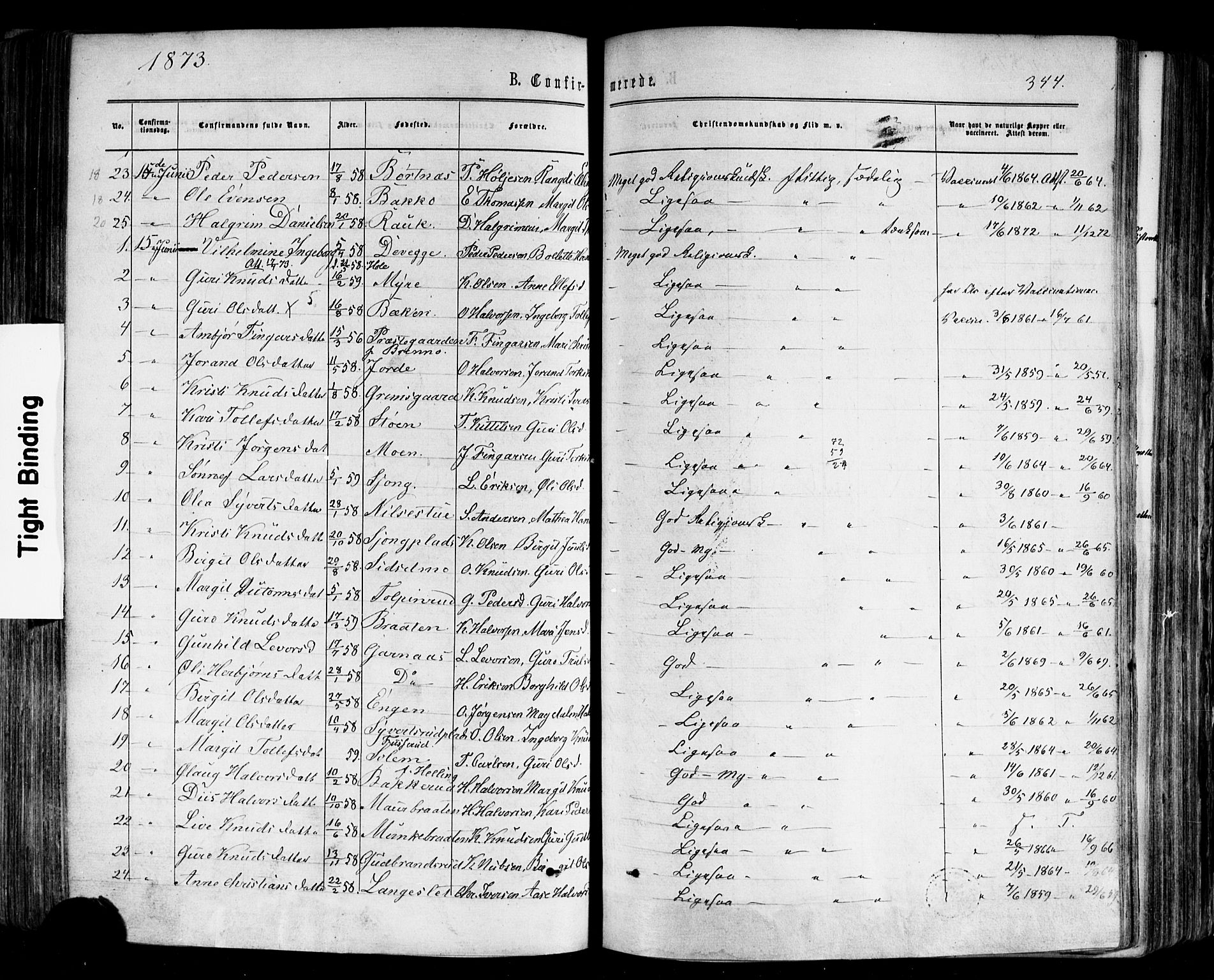 Nes kirkebøker, AV/SAKO-A-236/F/Fa/L0010: Parish register (official) no. 10, 1864-1880, p. 344