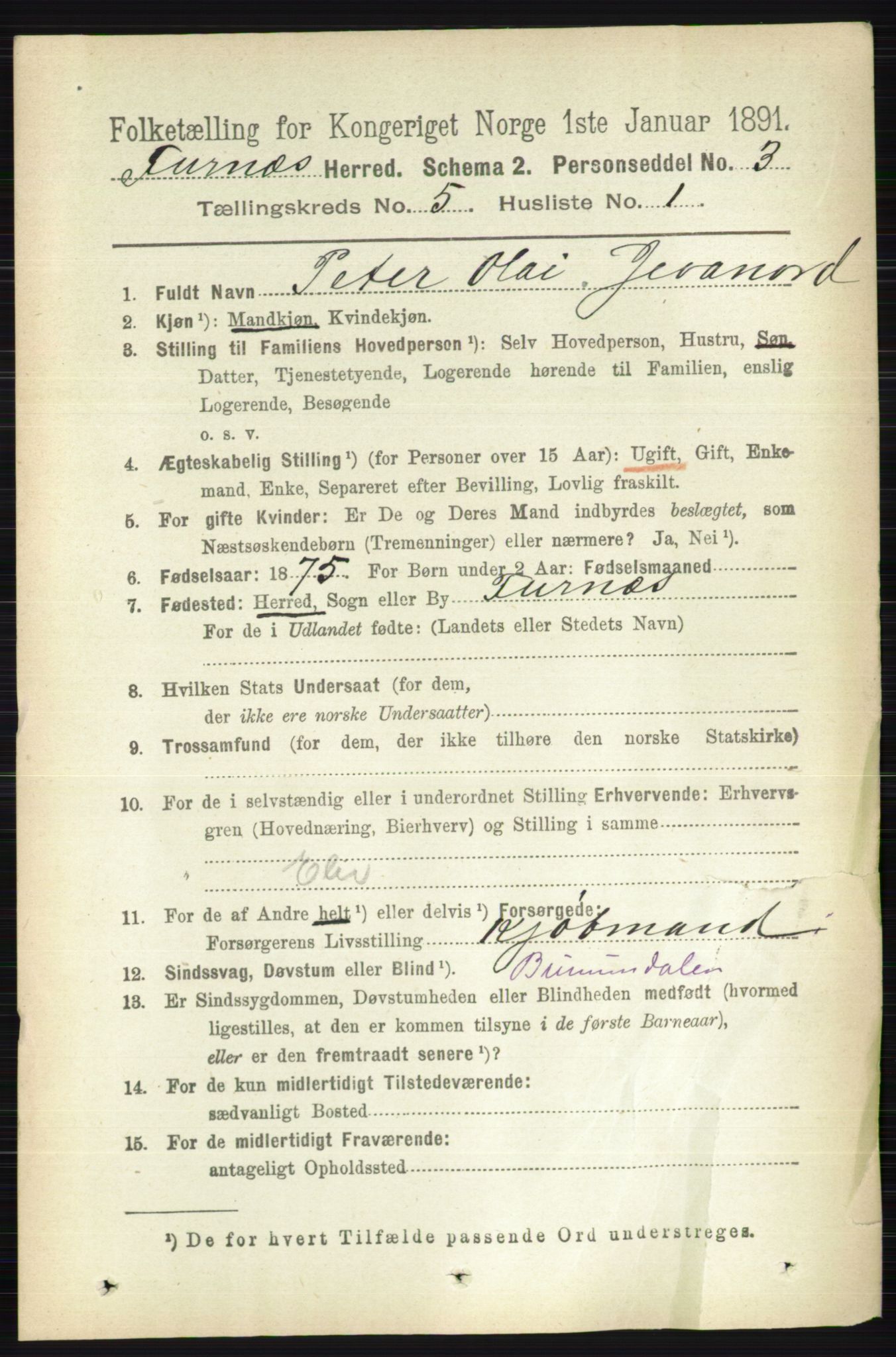 RA, Census 1891 for 0413 Furnes herred, 1891, p. 3158