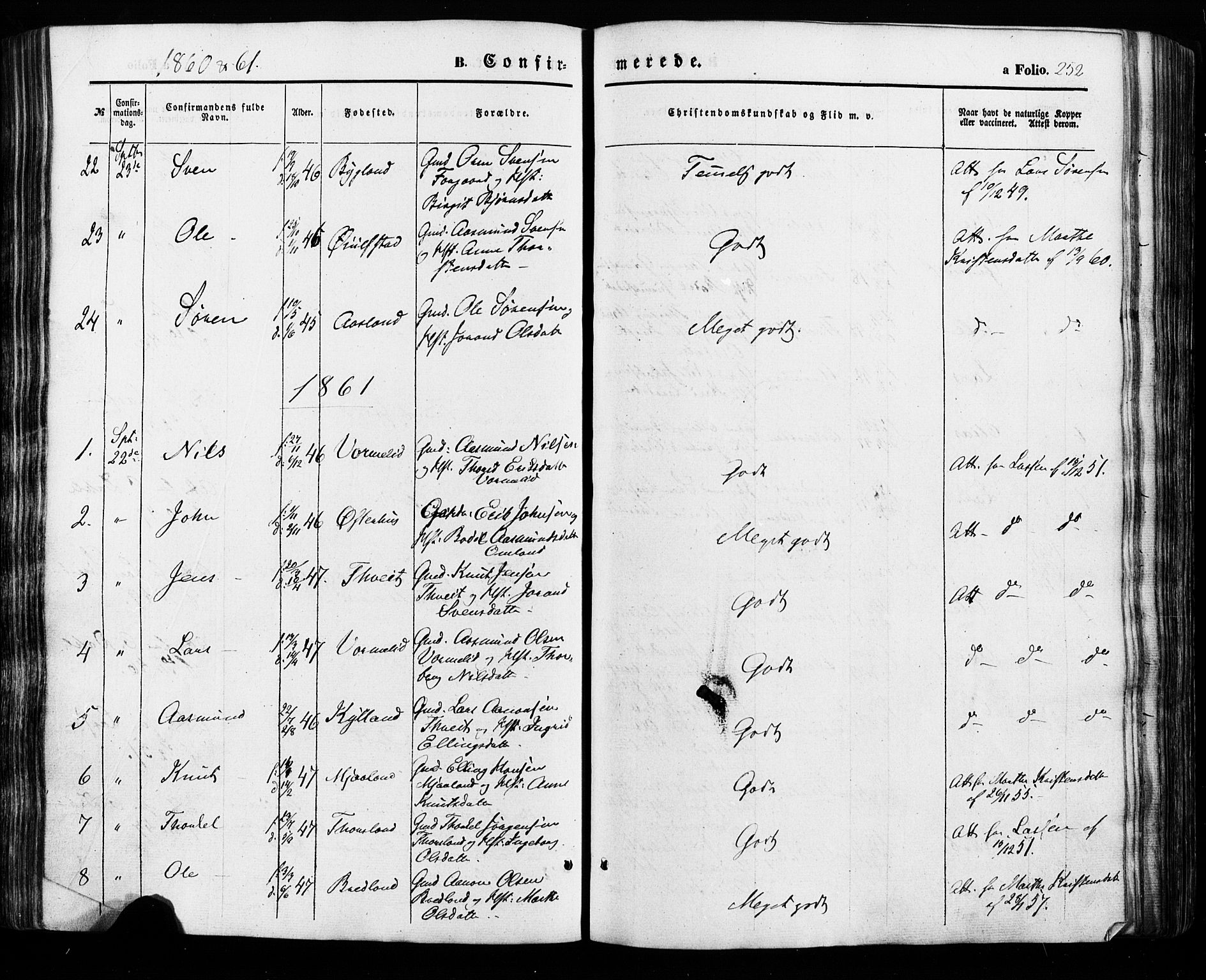 Åseral sokneprestkontor, AV/SAK-1111-0051/F/Fa/L0002: Parish register (official) no. A 2, 1854-1884, p. 252