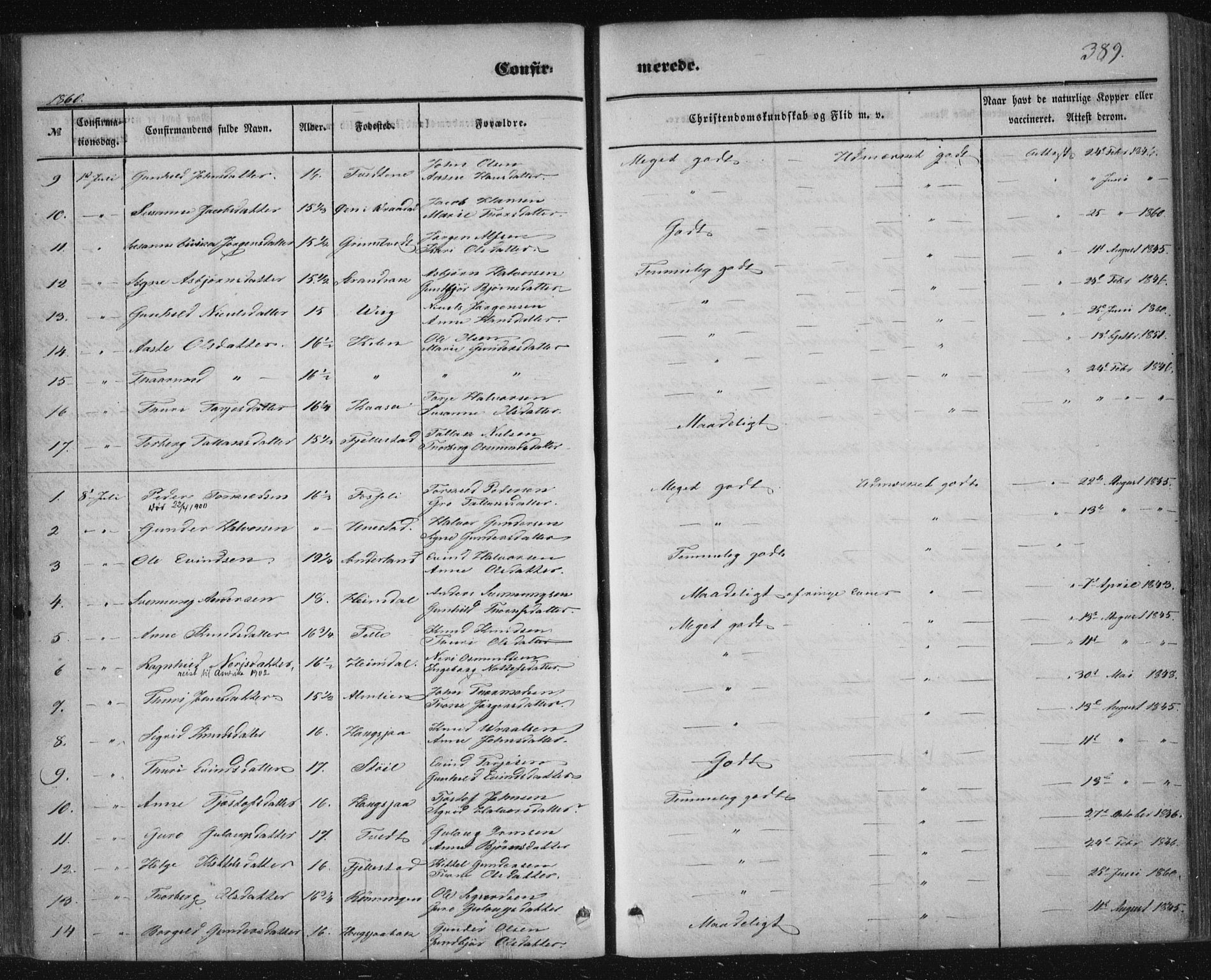 Nissedal kirkebøker, AV/SAKO-A-288/F/Fa/L0003: Parish register (official) no. I 3, 1846-1870, p. 388-389