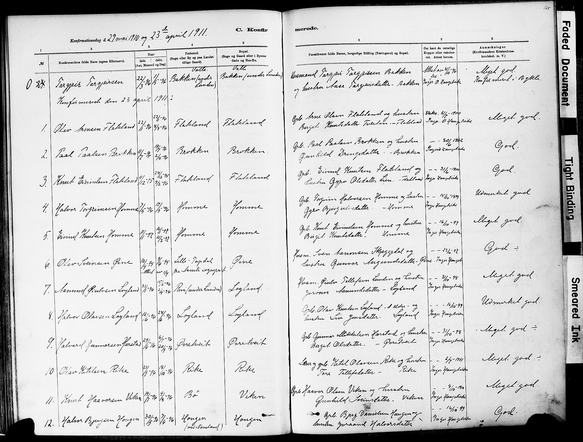 Valle sokneprestkontor, AV/SAK-1111-0044/F/Fa/Fac/L0009: Parish register (official) no. A 9, 1882-1913, p. 165