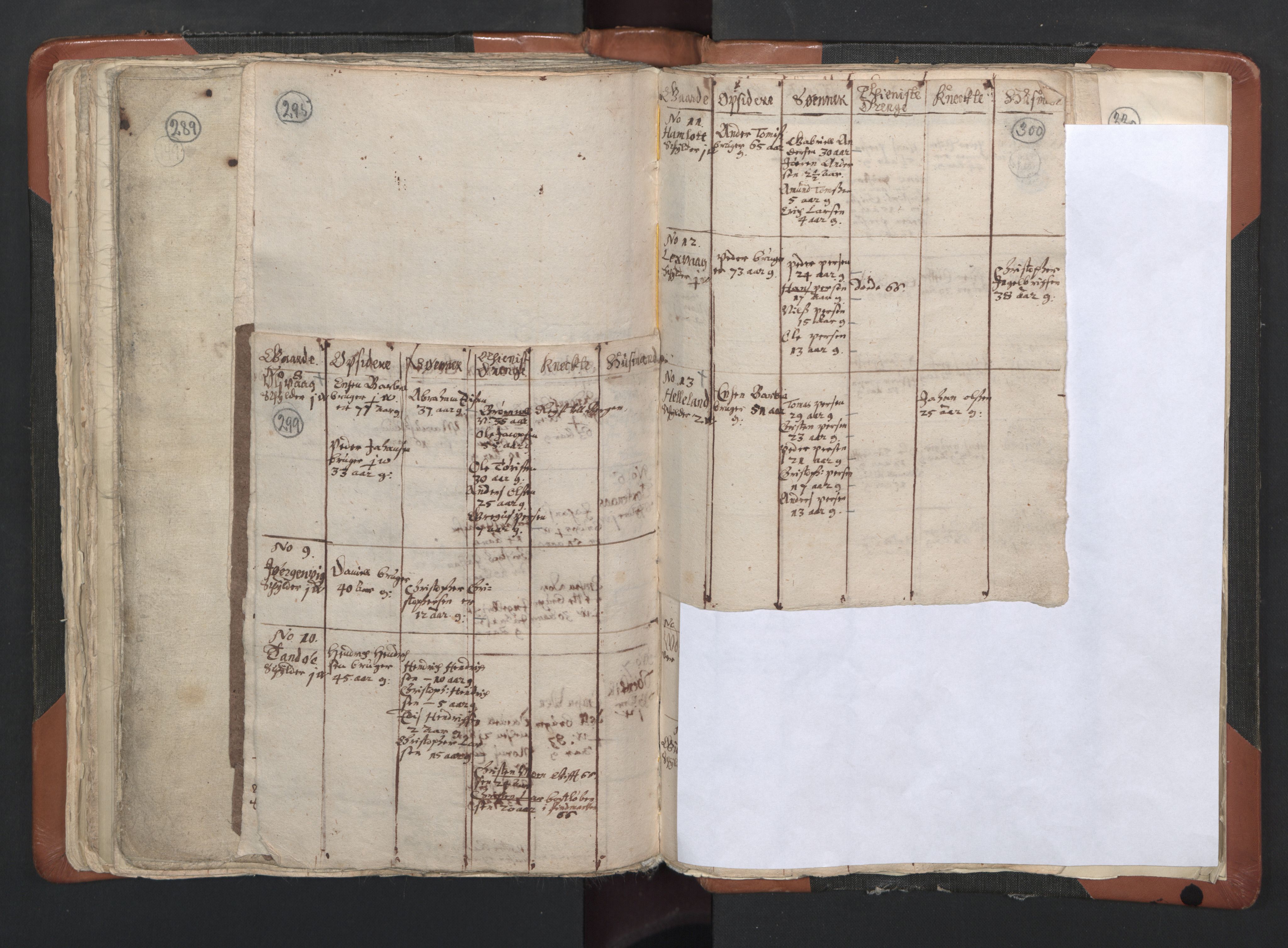 RA, Vicar's Census 1664-1666, no. 35: Helgeland deanery and Salten deanery, 1664-1666, p. 299-300