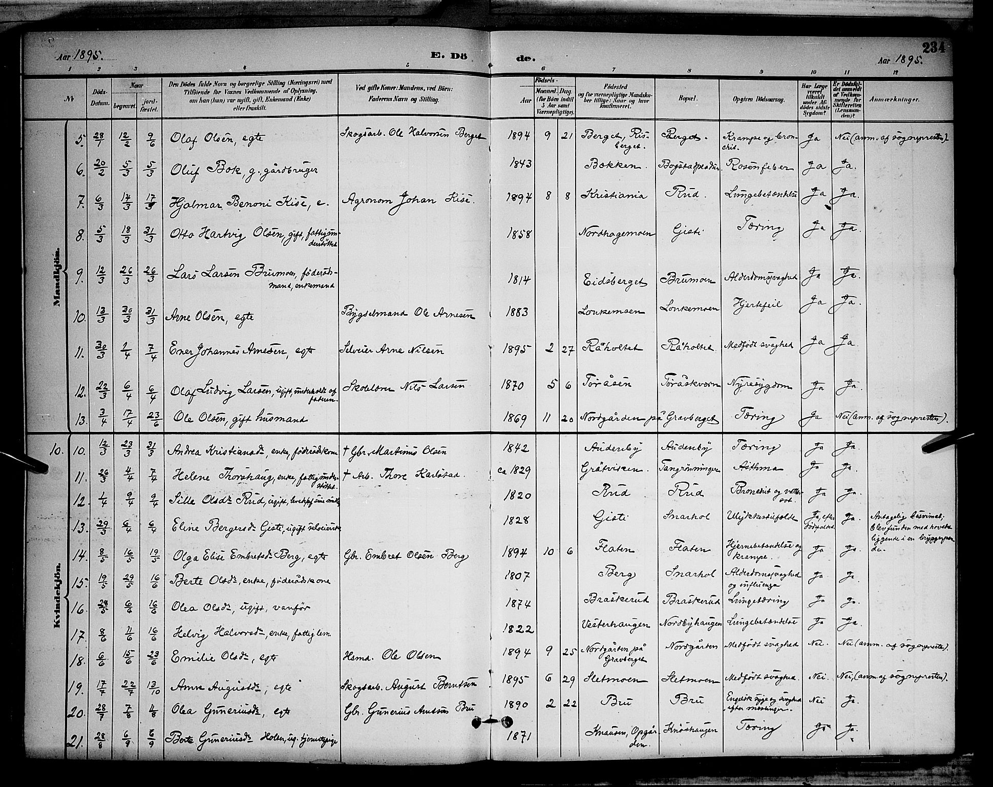 Våler prestekontor, Hedmark, AV/SAH-PREST-040/H/Ha/Hab/L0001: Parish register (copy) no. 1, 1894-1904, p. 234