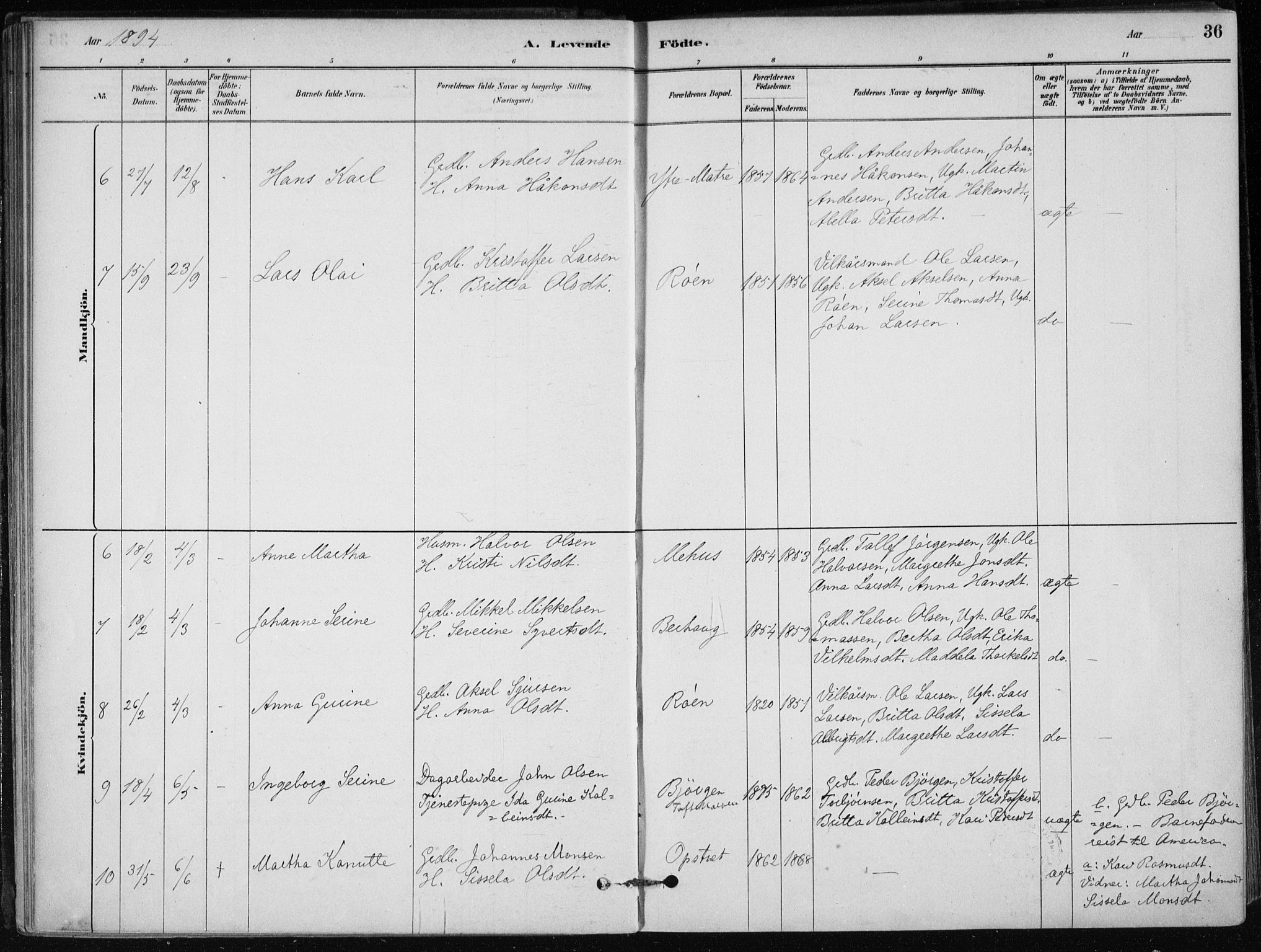 Skånevik sokneprestembete, AV/SAB-A-77801/H/Haa: Parish register (official) no. C  1, 1879-1917, p. 36