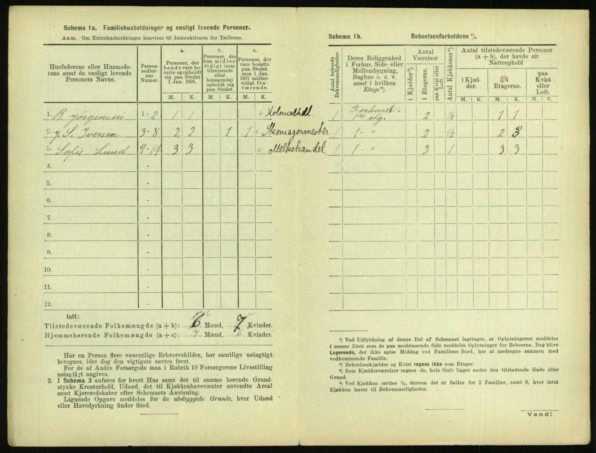 RA, 1891 census for 0806 Skien, 1891, p. 263