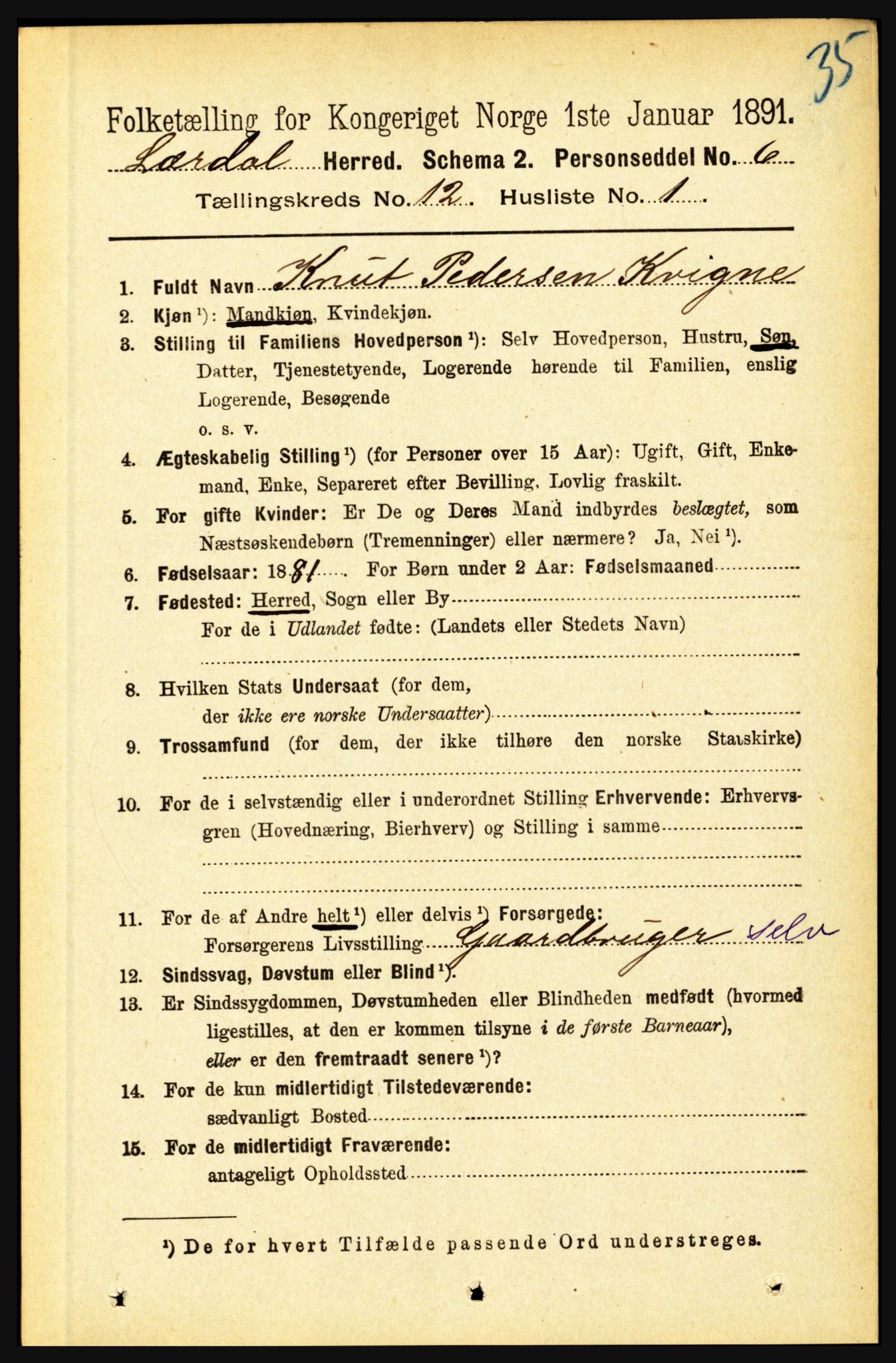 RA, 1891 census for 1422 Lærdal, 1891, p. 2553