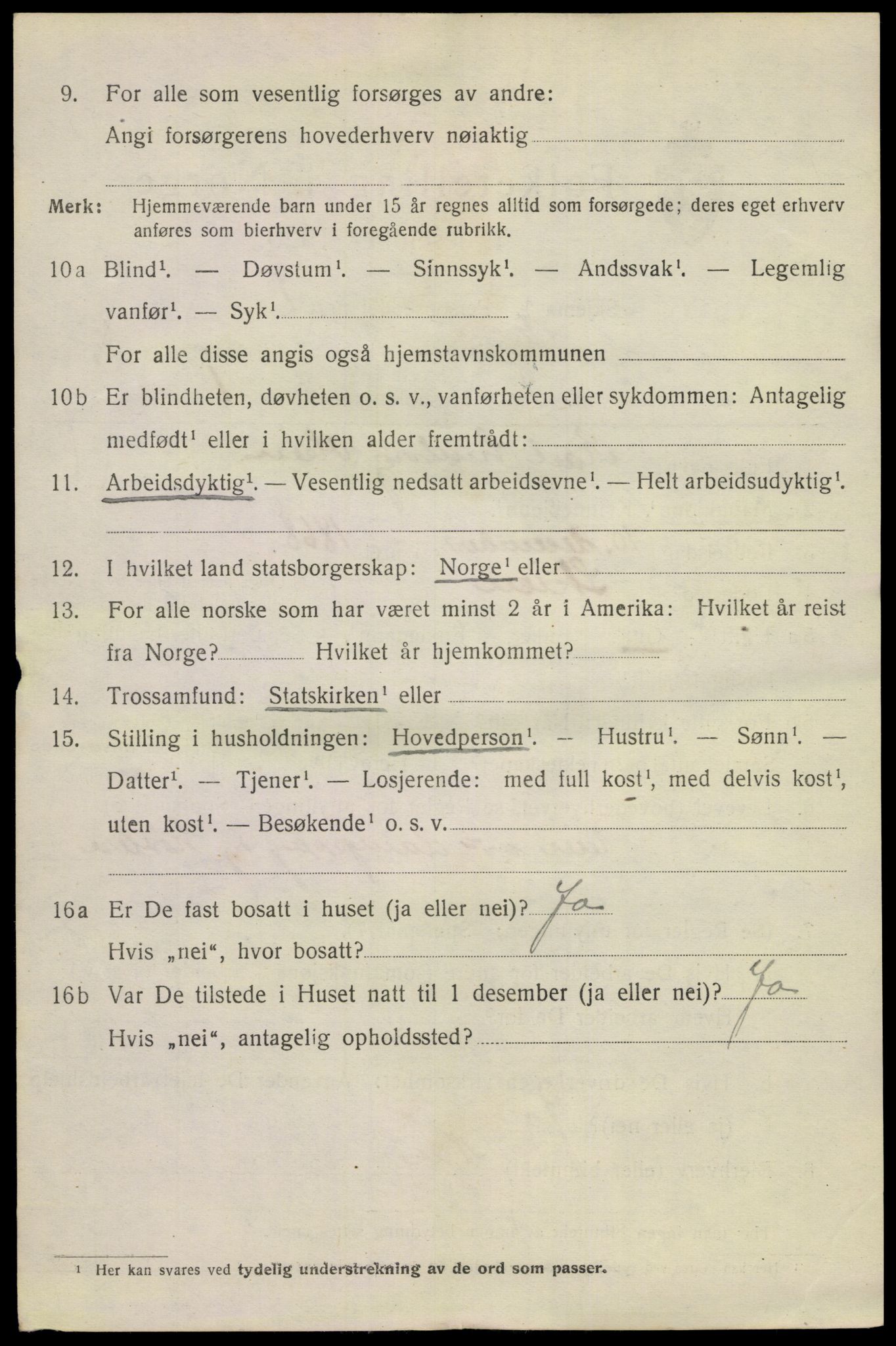 SAKO, 1920 census for Skien, 1920, p. 16829